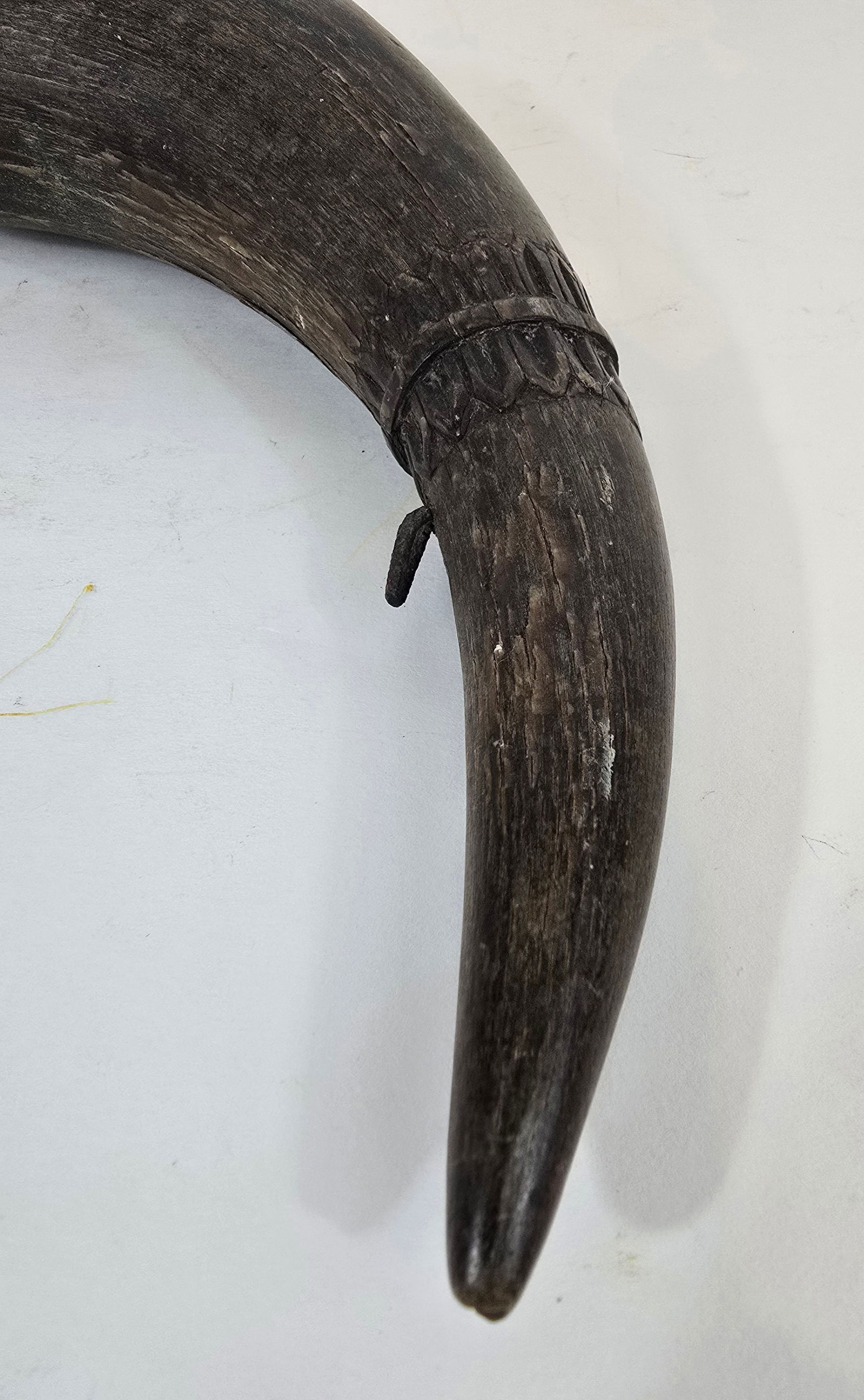 Early Eastern Woodlands bison powder horn - 5