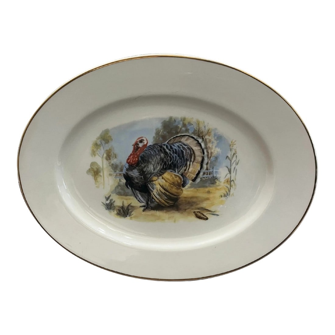 1970s Large Turkey Serving Platter Styled After Homer Laughlin: This is the exact picture that you would find on the Homer Laughlin turkey platter! Pleased to be able to offer it here at a considerably lesser price point. Like all vintage items, it does show