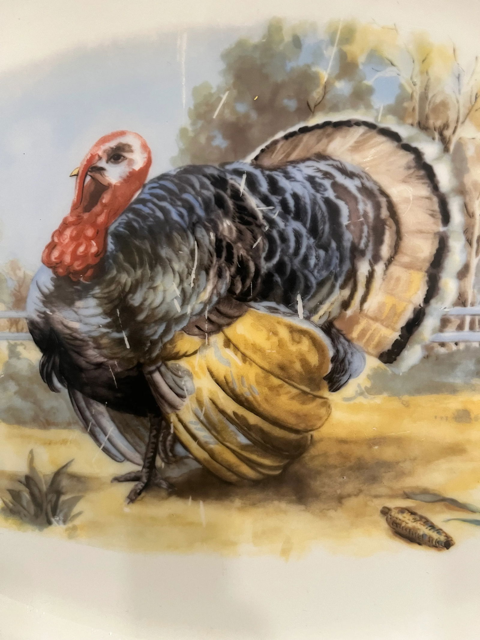 1970s Large Turkey Serving Platter Styled After Homer Laughlin - 2