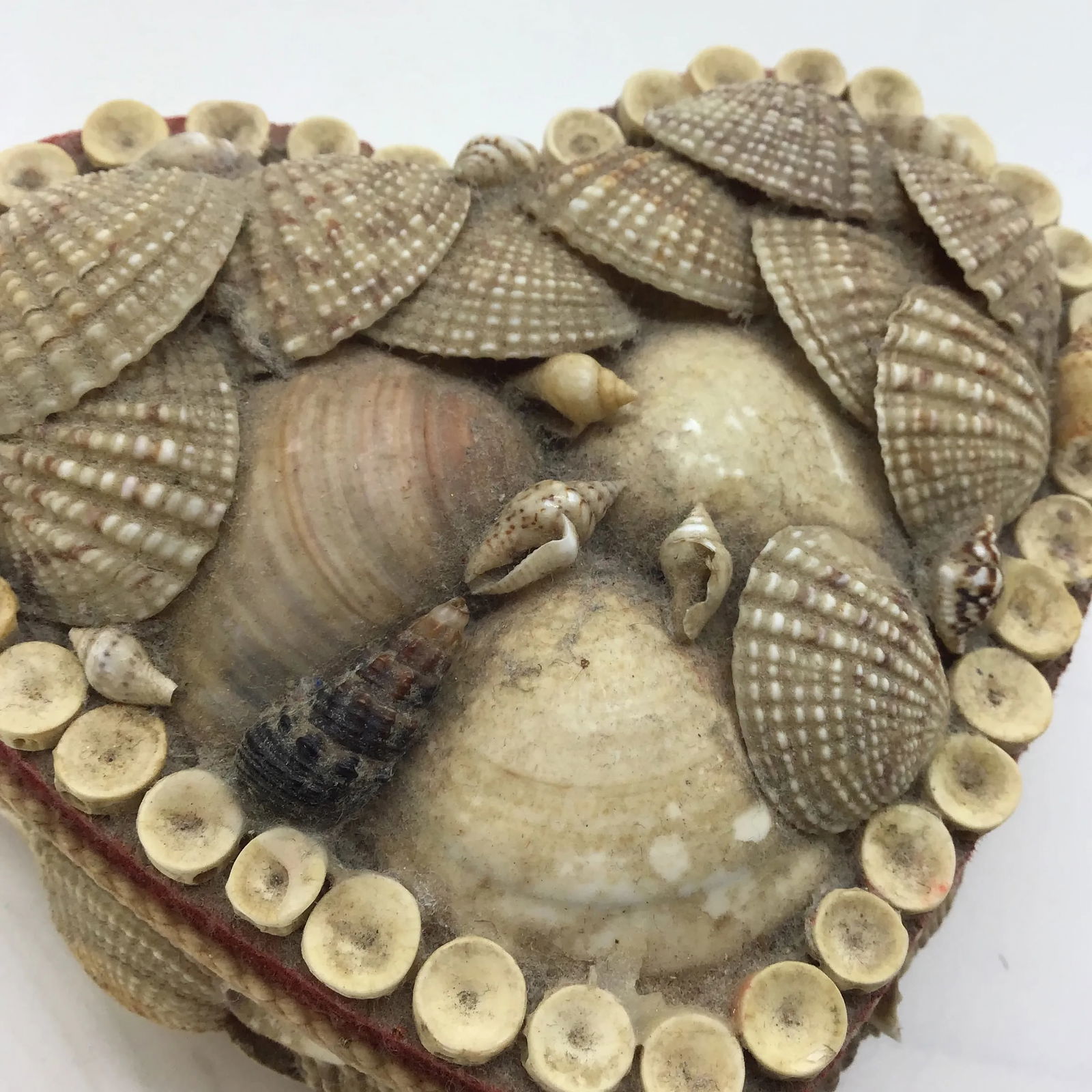 Shell Jewelry Box Vintage Heart Seashell Encrusted Jewelry Trinket Box - 8
