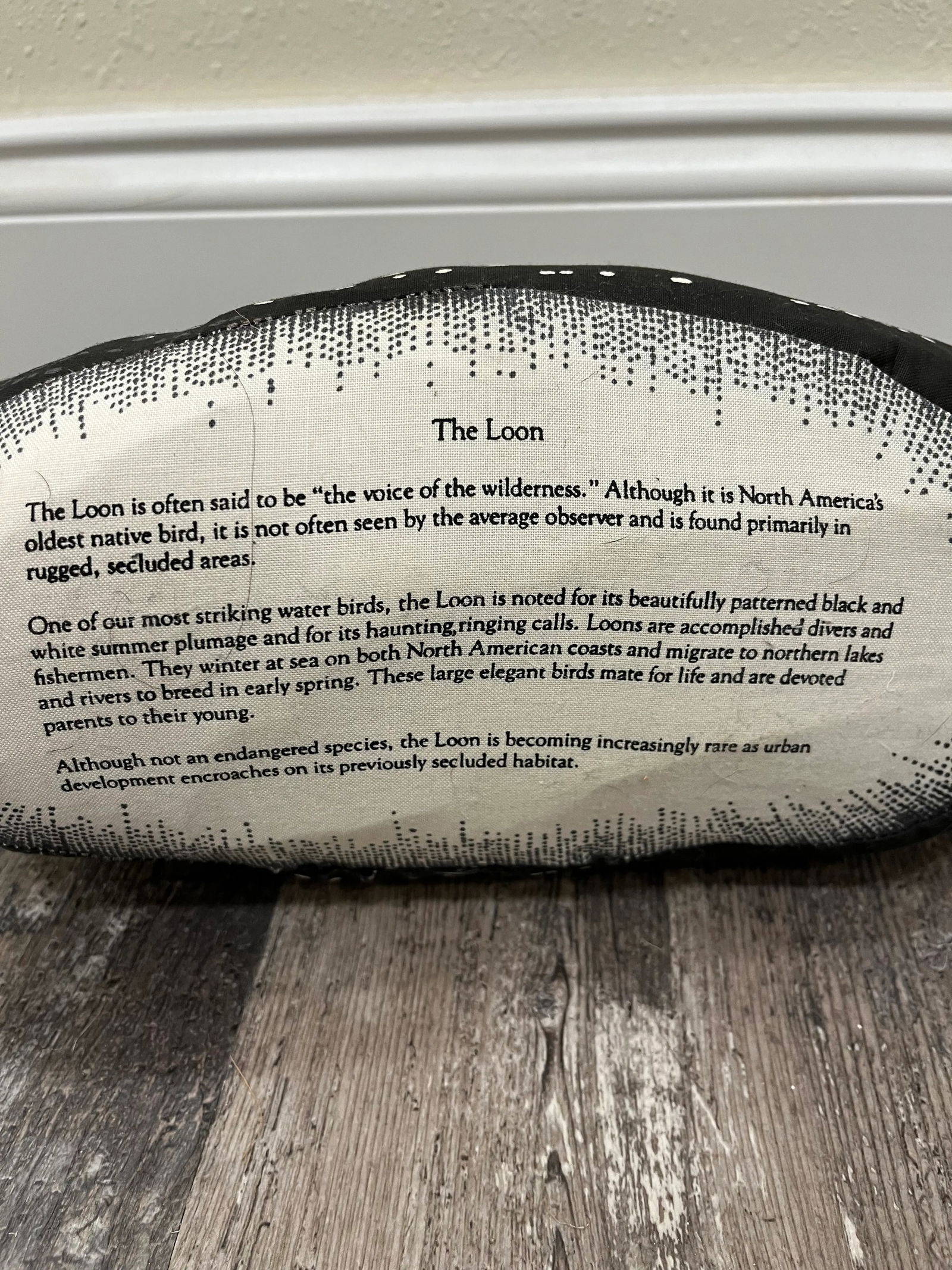 1980s Loon Duck Stuffed Decor- Set of 2 - 7