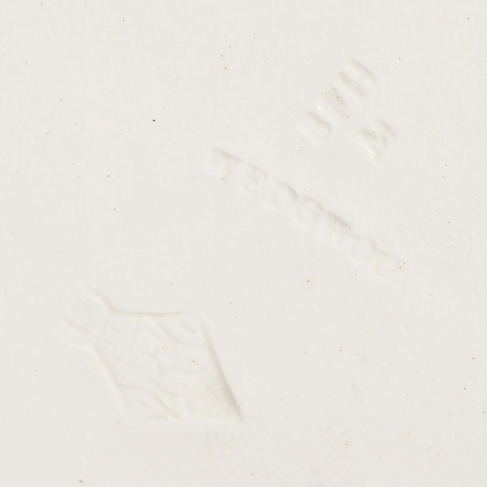 Polychrome Glazed Argenta Majolica Plate by Wedgwood, C. 1884 - 11