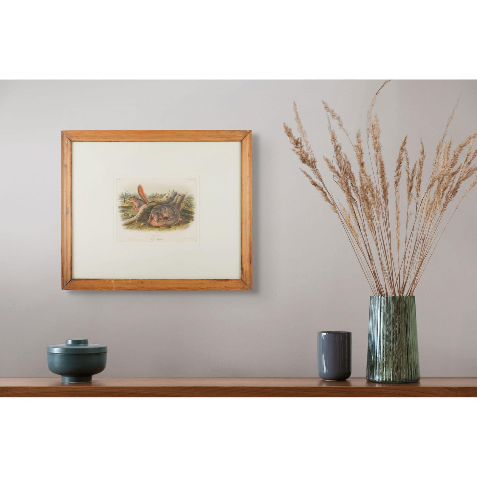 Jay's Squirrel From the "Quadrupeds of North America" by James Audubon, 1848 - 10