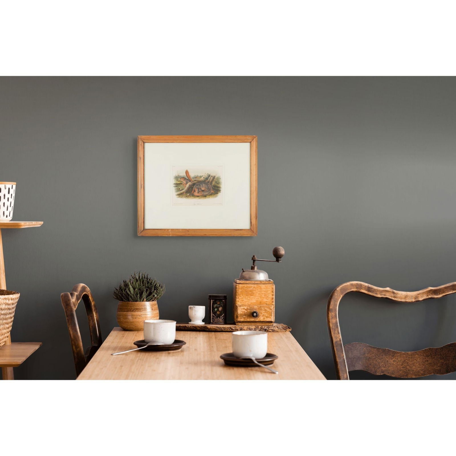 Jay's Squirrel From the "Quadrupeds of North America" by James Audubon, 1848 - 11