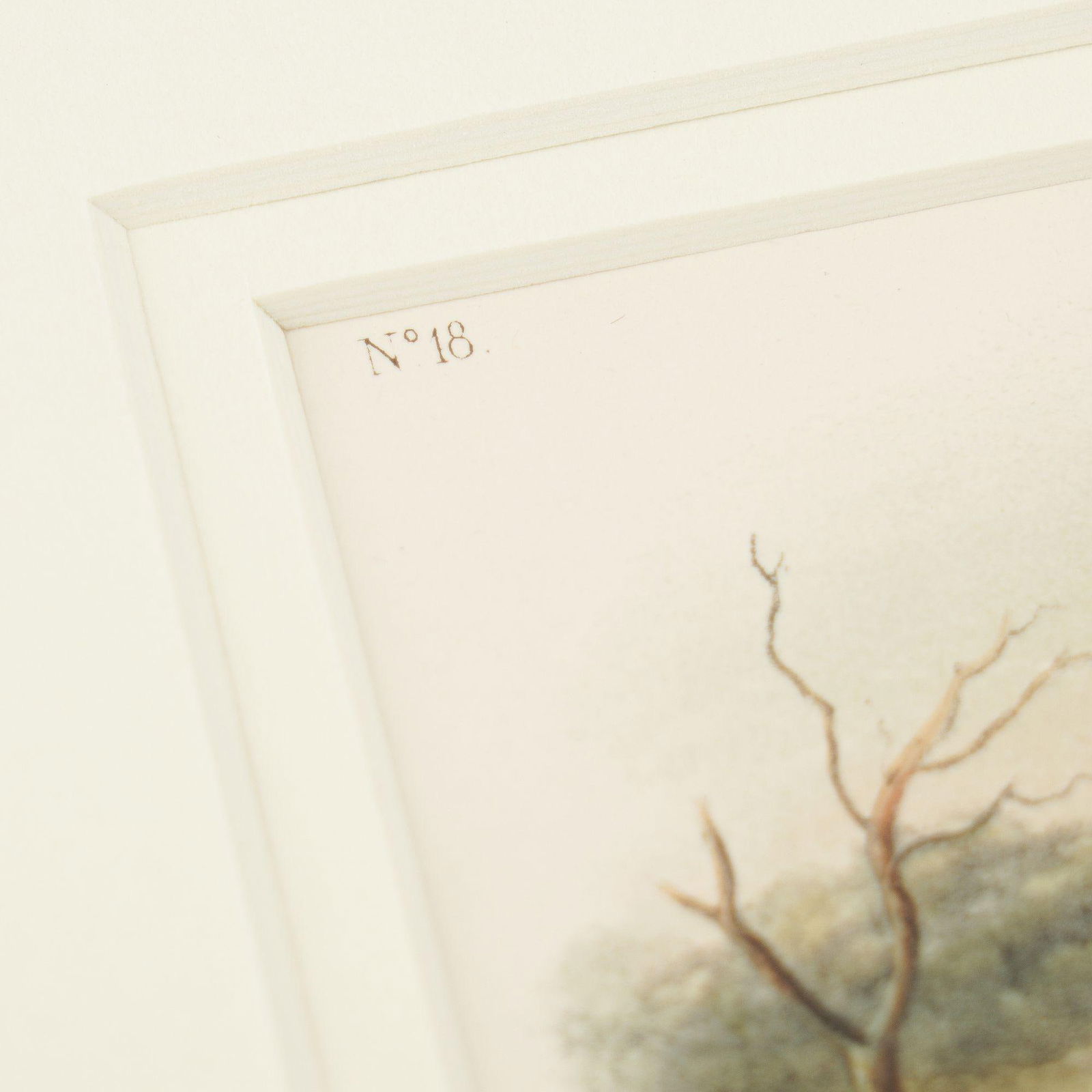 Jay's Squirrel From the "Quadrupeds of North America" by James Audubon, 1848 - 3