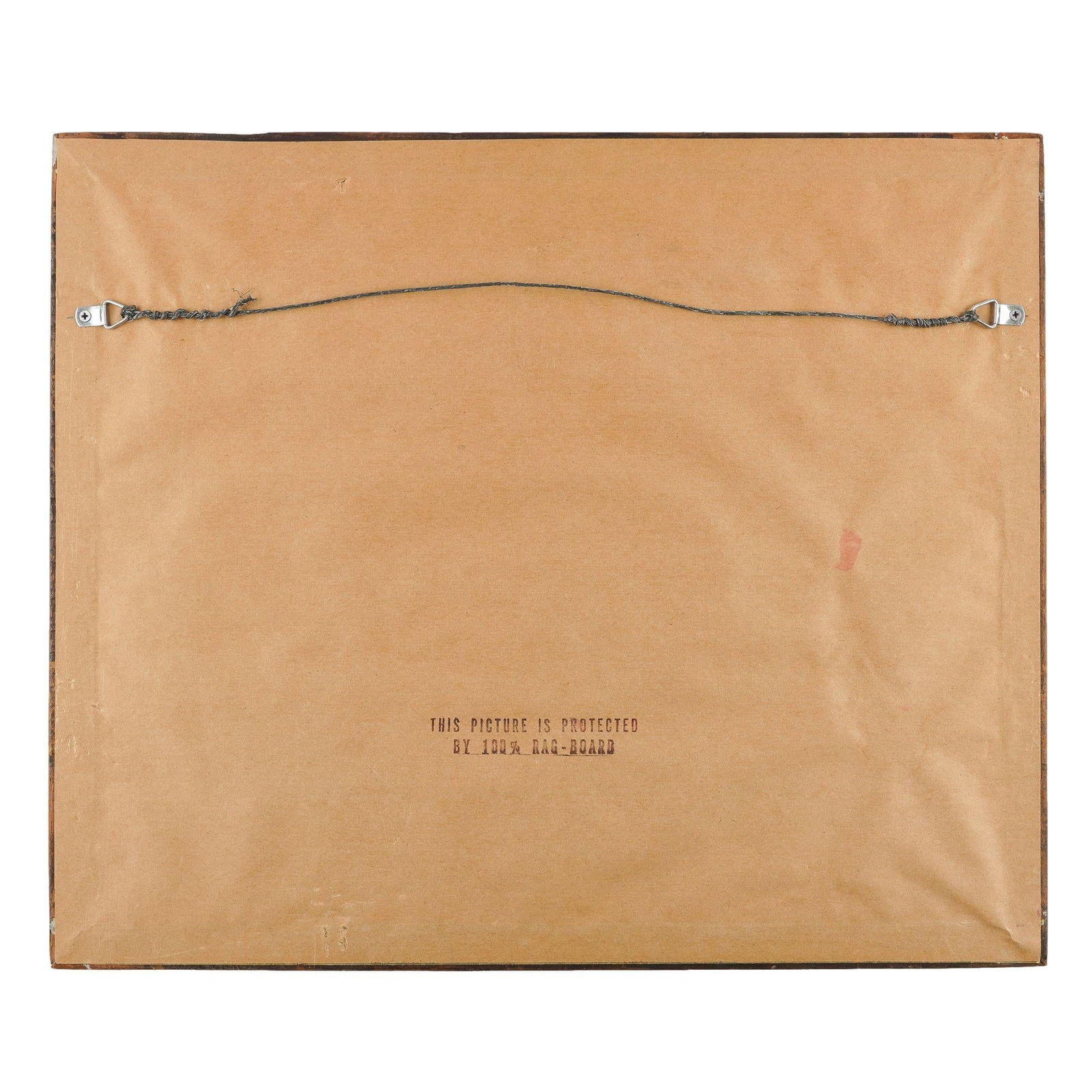 Jay's Squirrel From the "Quadrupeds of North America" by James Audubon, 1848 - 9