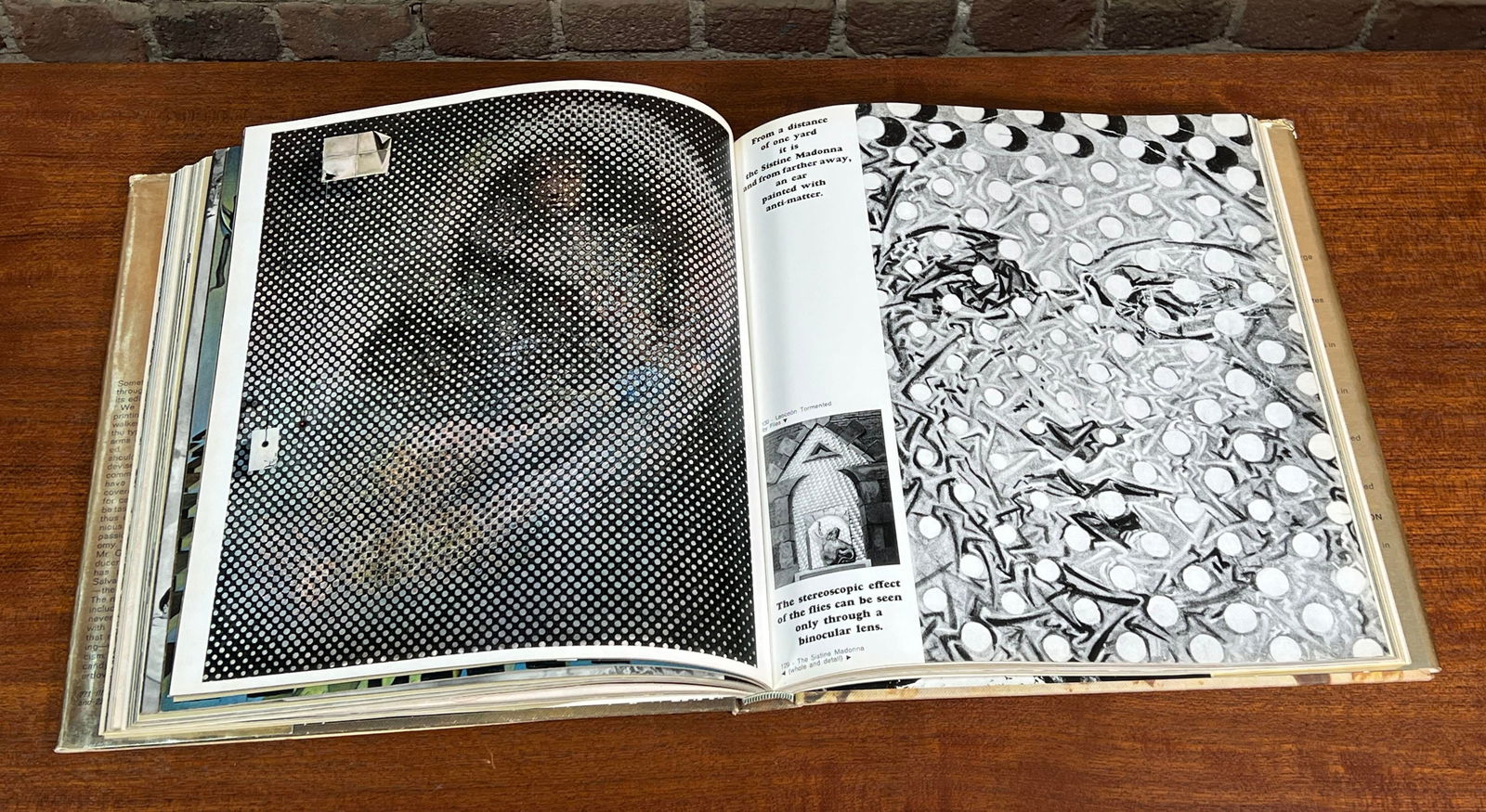 Vintage 1968 Salvador Dali Art Coffee Table Book Printed in France - 6