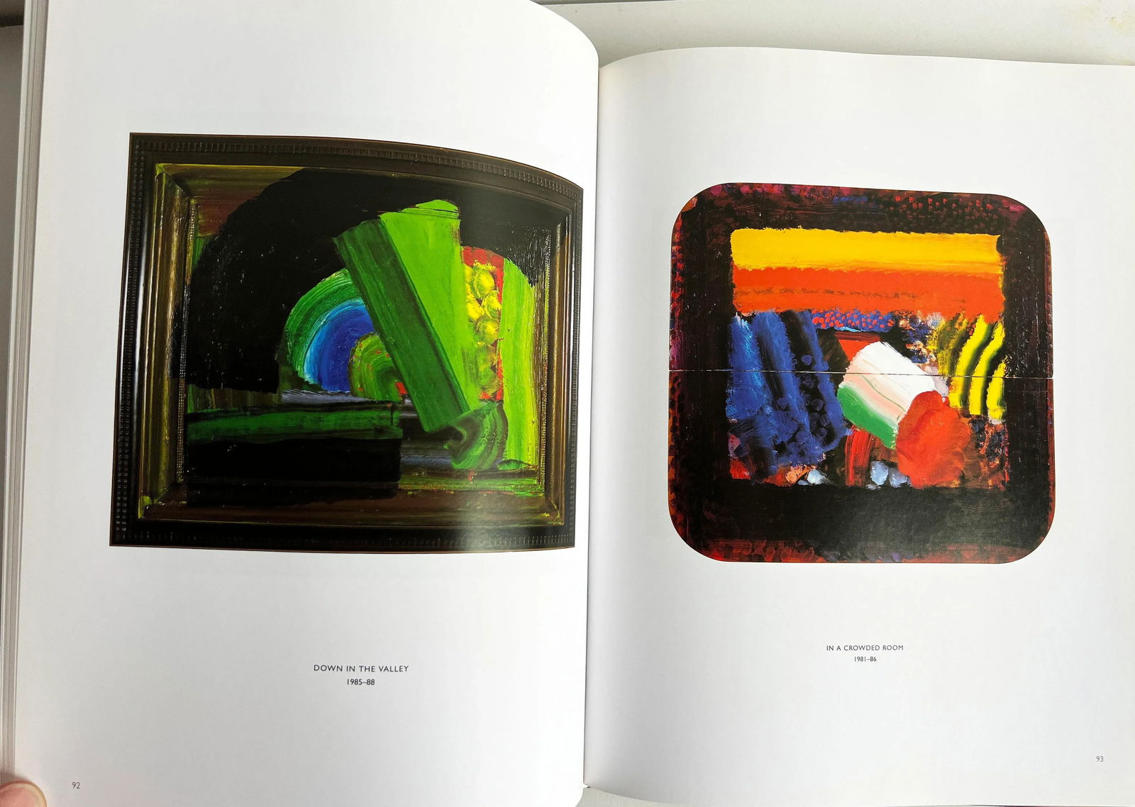 Vintage Howard Hodgkin Paintings Coffee Table Book - 3