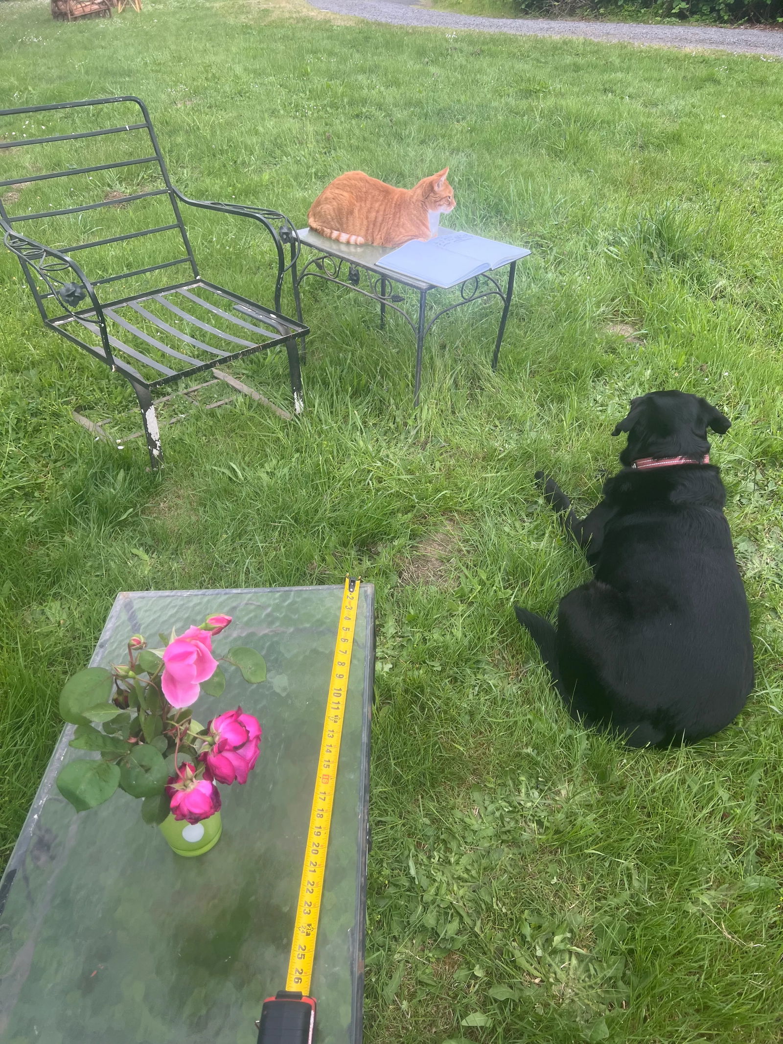 Hollywood Regency Wrought Iron Outdoor Furniture Set, 5 Pieces - 3