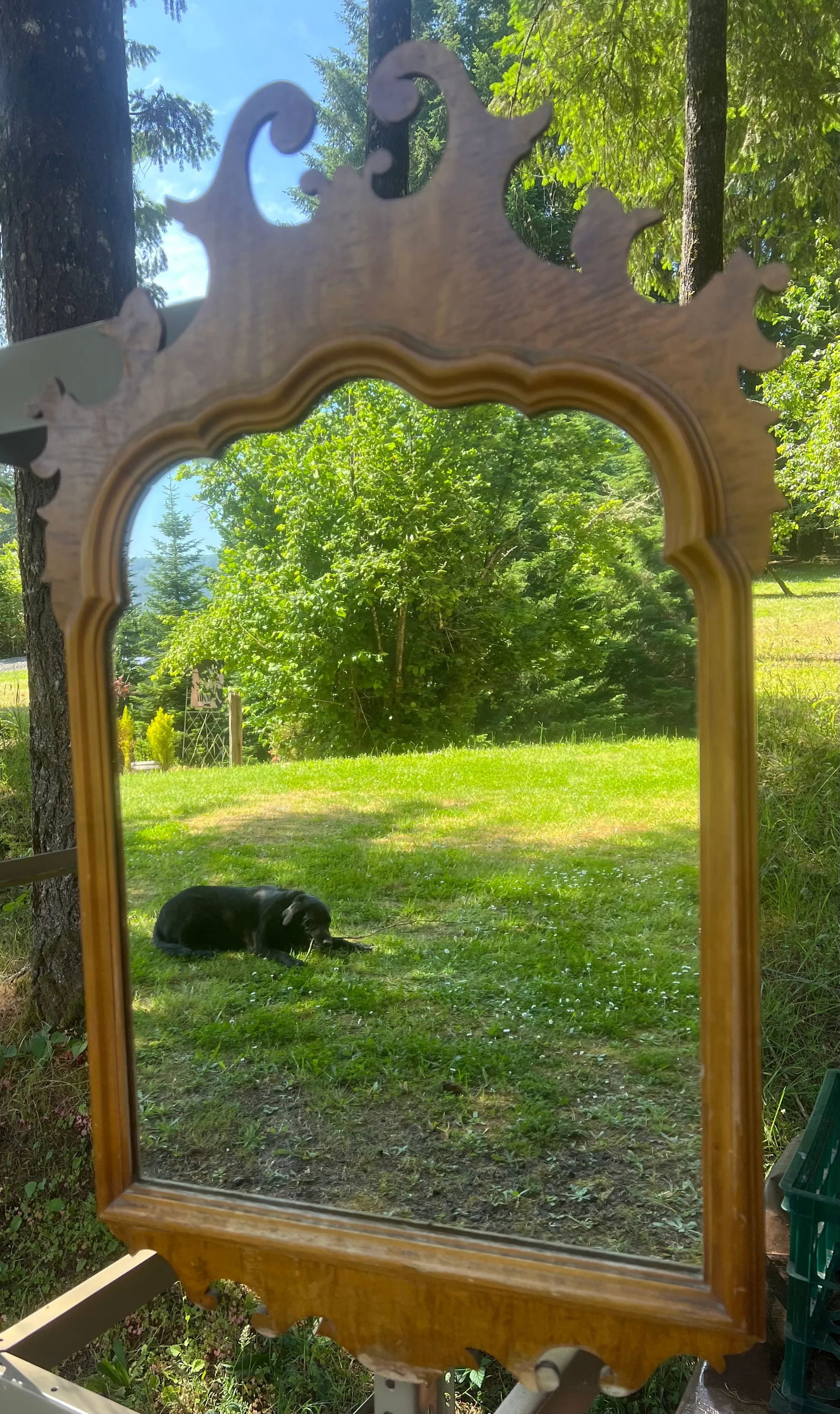 Early 20th Century Chippendale Style Tiger Eye Maple Mirror - 4