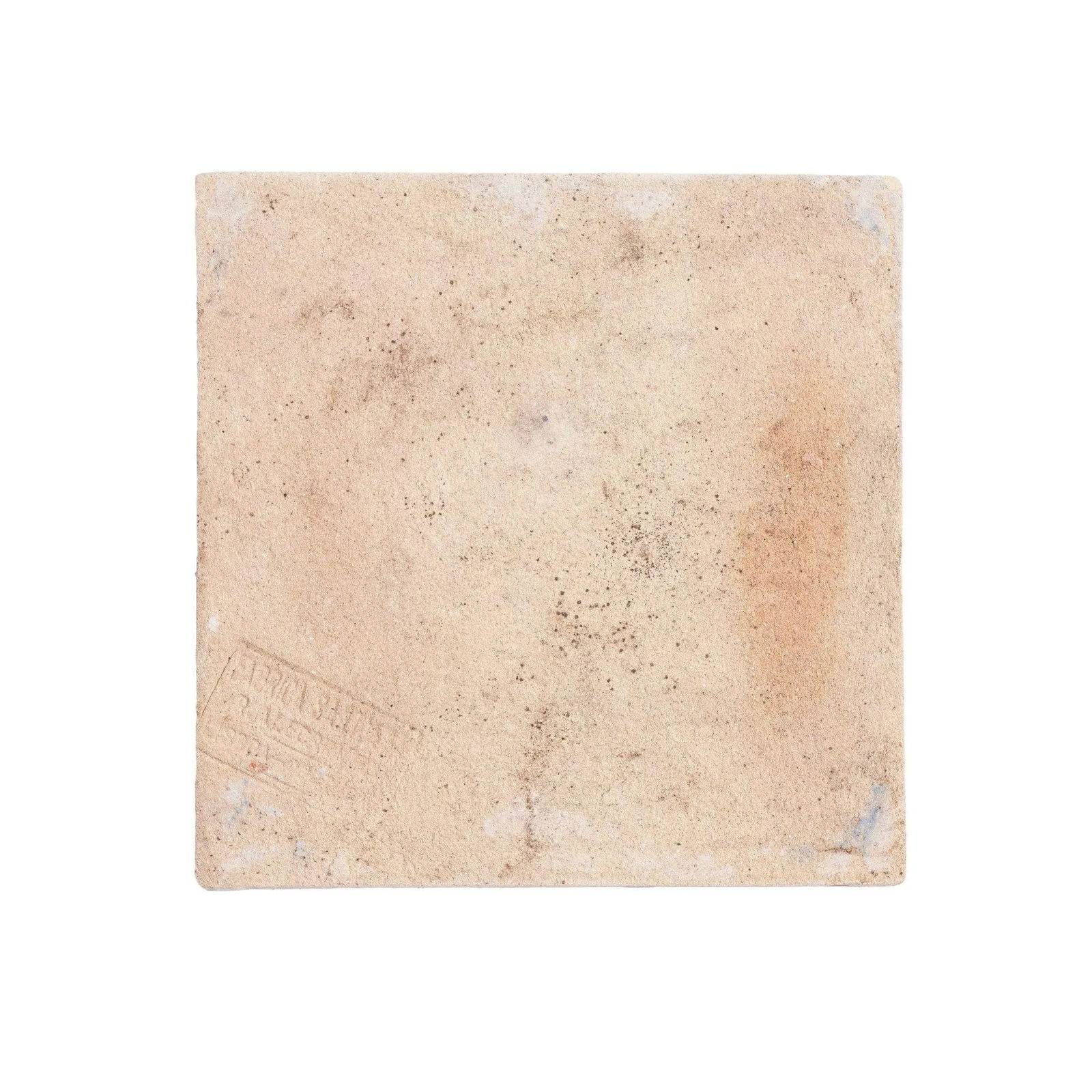 Set of 6 Portuguese Hand Painted Botanical Faience Tiles in the Dutch Taste by FÃ¡brica - 13