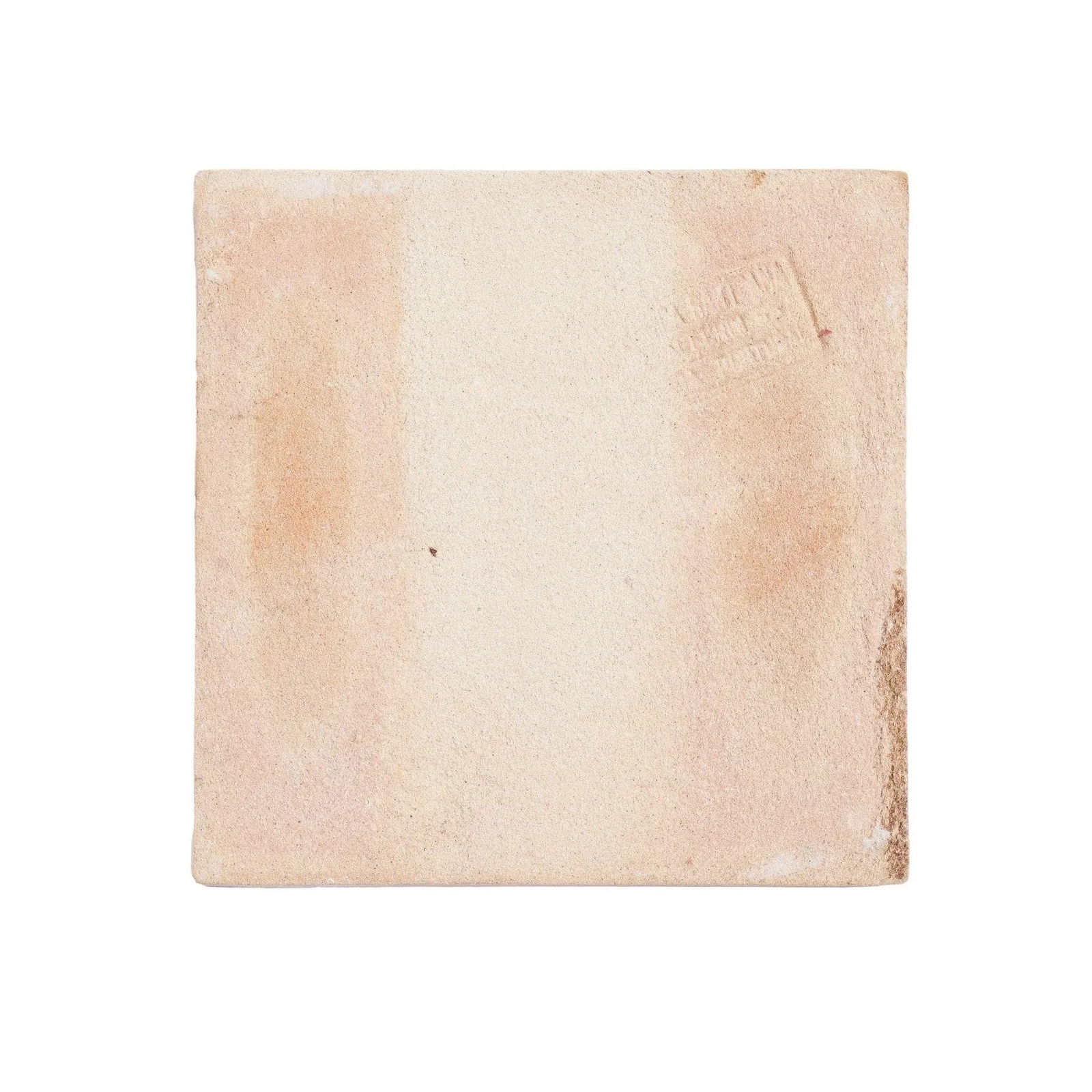 Set of 6 Portuguese Hand Painted Botanical Faience Tiles in the Dutch Taste by FÃ¡brica - 4