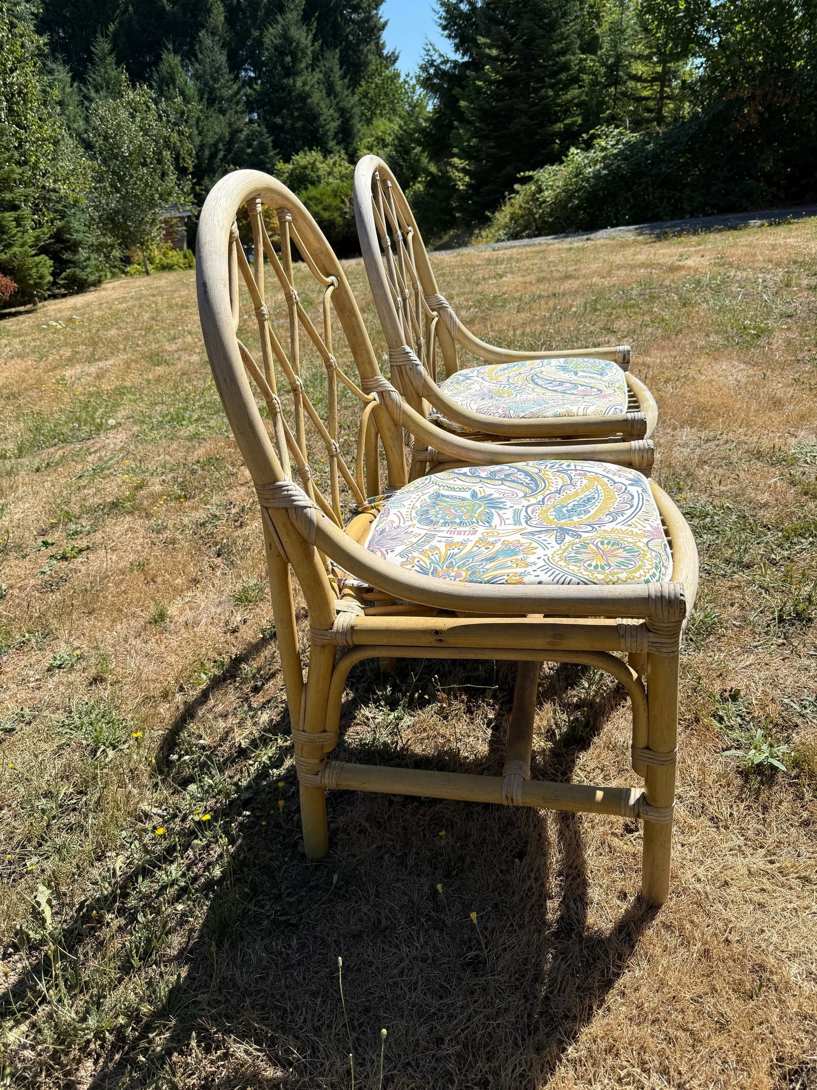 1990s McGuire Style Bentwood Chairs - 2 Available - 8