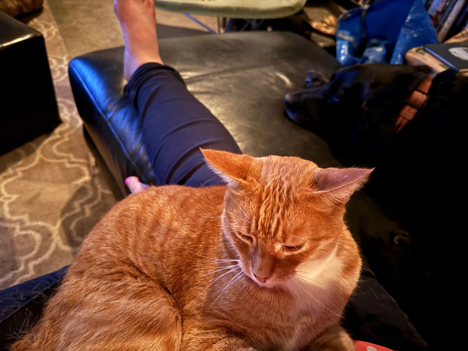 Walnut Burlwood Inlay Table 19th Century Rococo Revival - 5