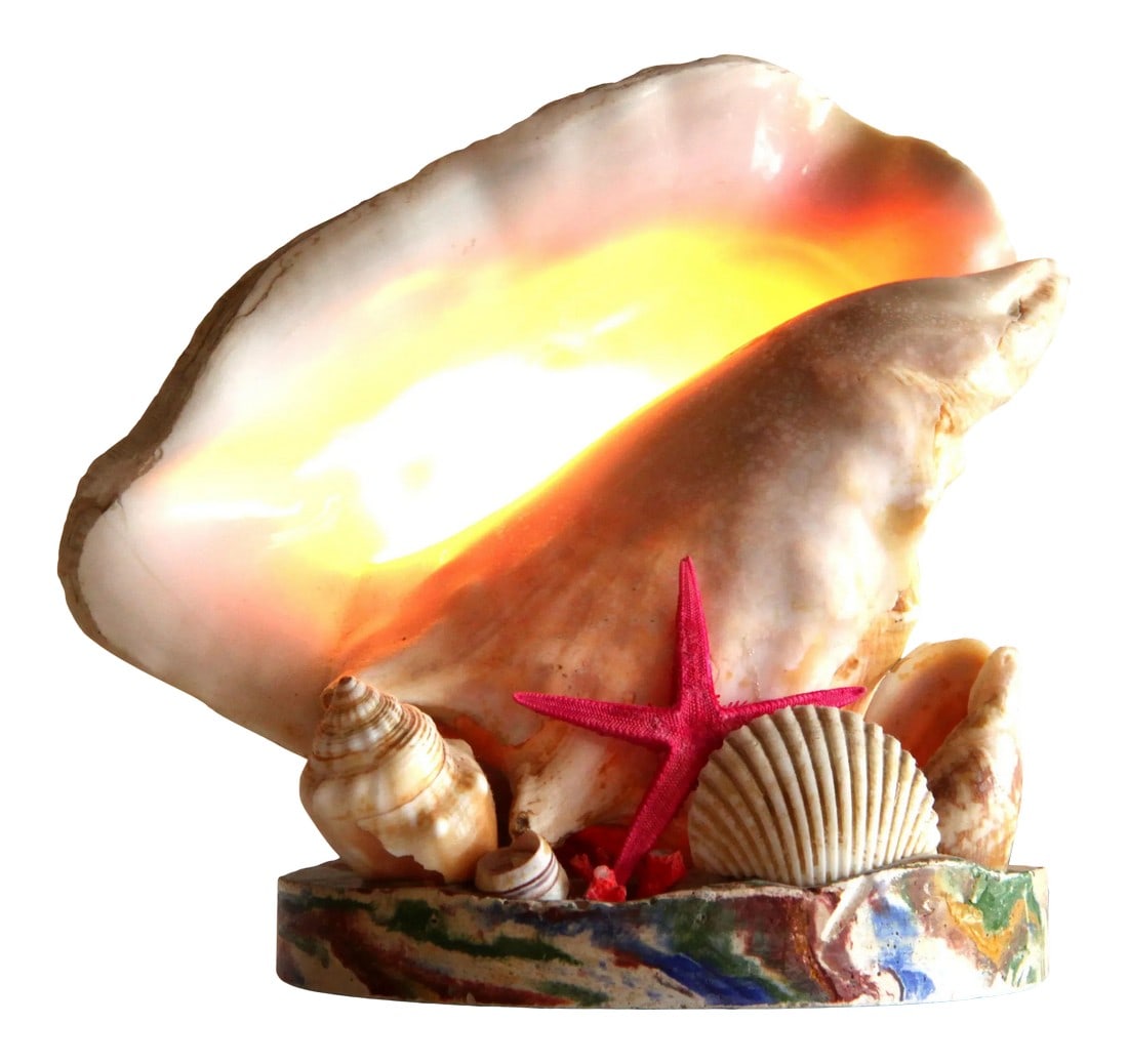 Vintage 1970's Nautical Conch Shell Lamp With Starfish (1 of 8)