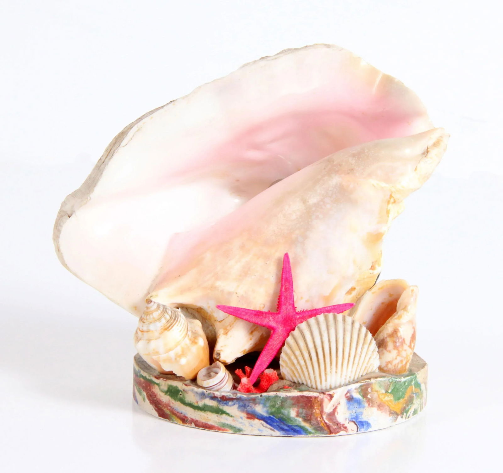 Vintage 1970's Nautical Conch Shell Lamp With Starfish - 2