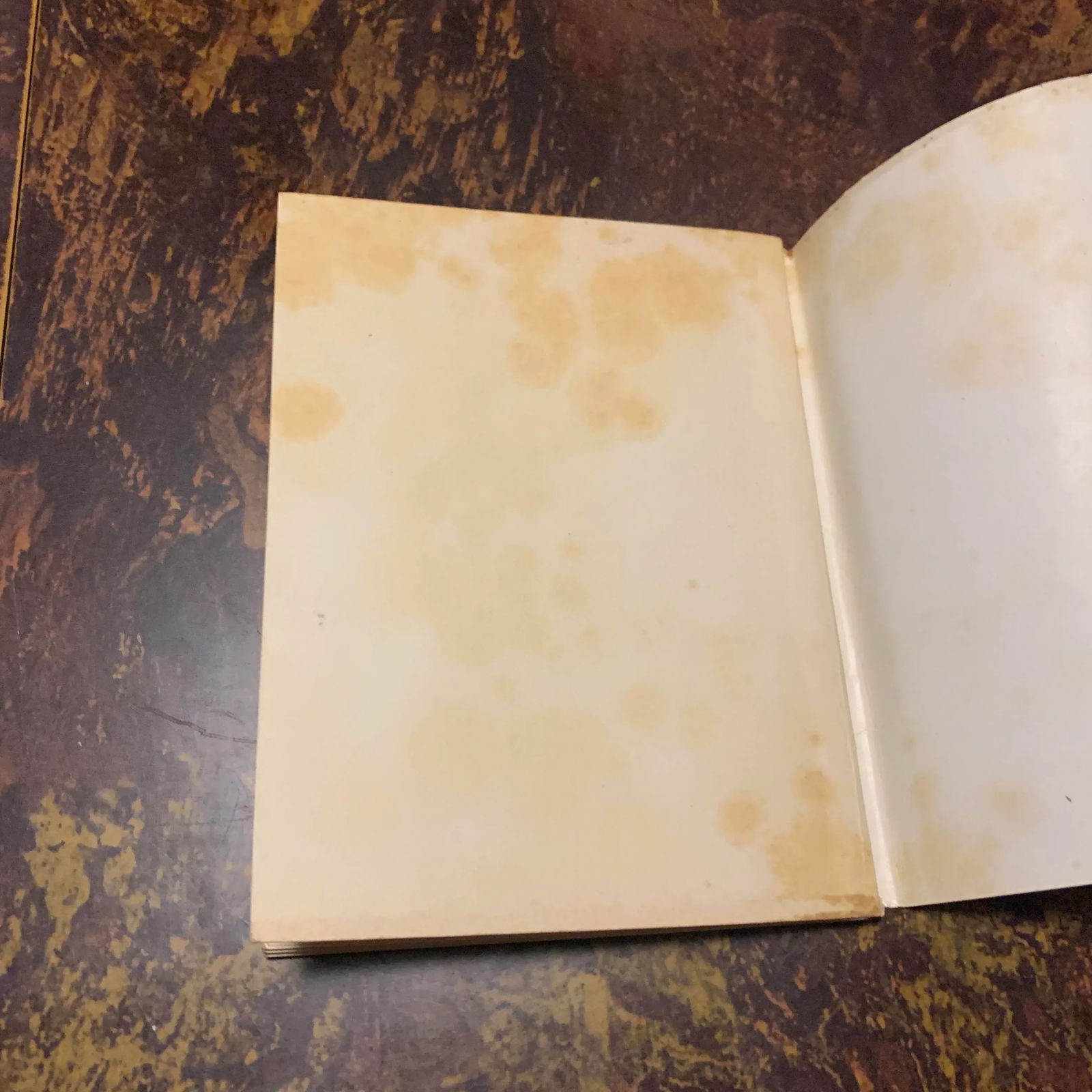 1950 Vintage "a Two Hours Visit of the Cathedral of Bourges" French Travel Book in English - 3