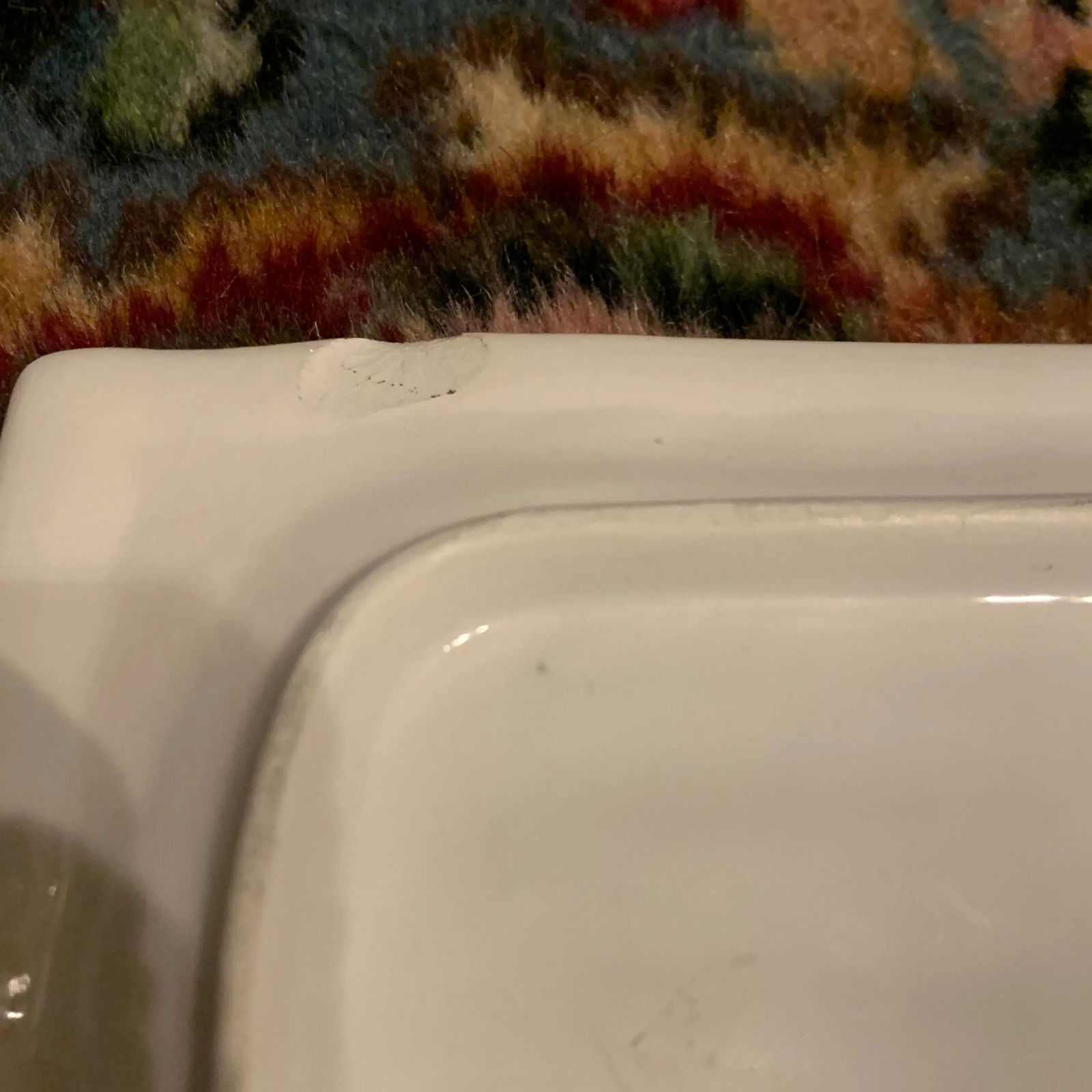 Italian Majolica Vietri Frog and Faux Bois Plate - 9