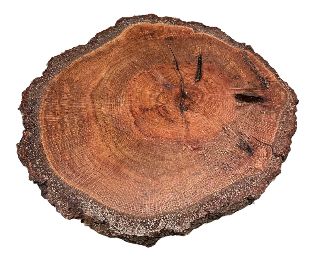 Natural Live Edge Wood Platter: Add a piece of nature to your spread! This solid piece of wood is finished on one side, and unfinished on the other. When I washed it, the rich aroma from the wood smelled so nicely! I'm not the best