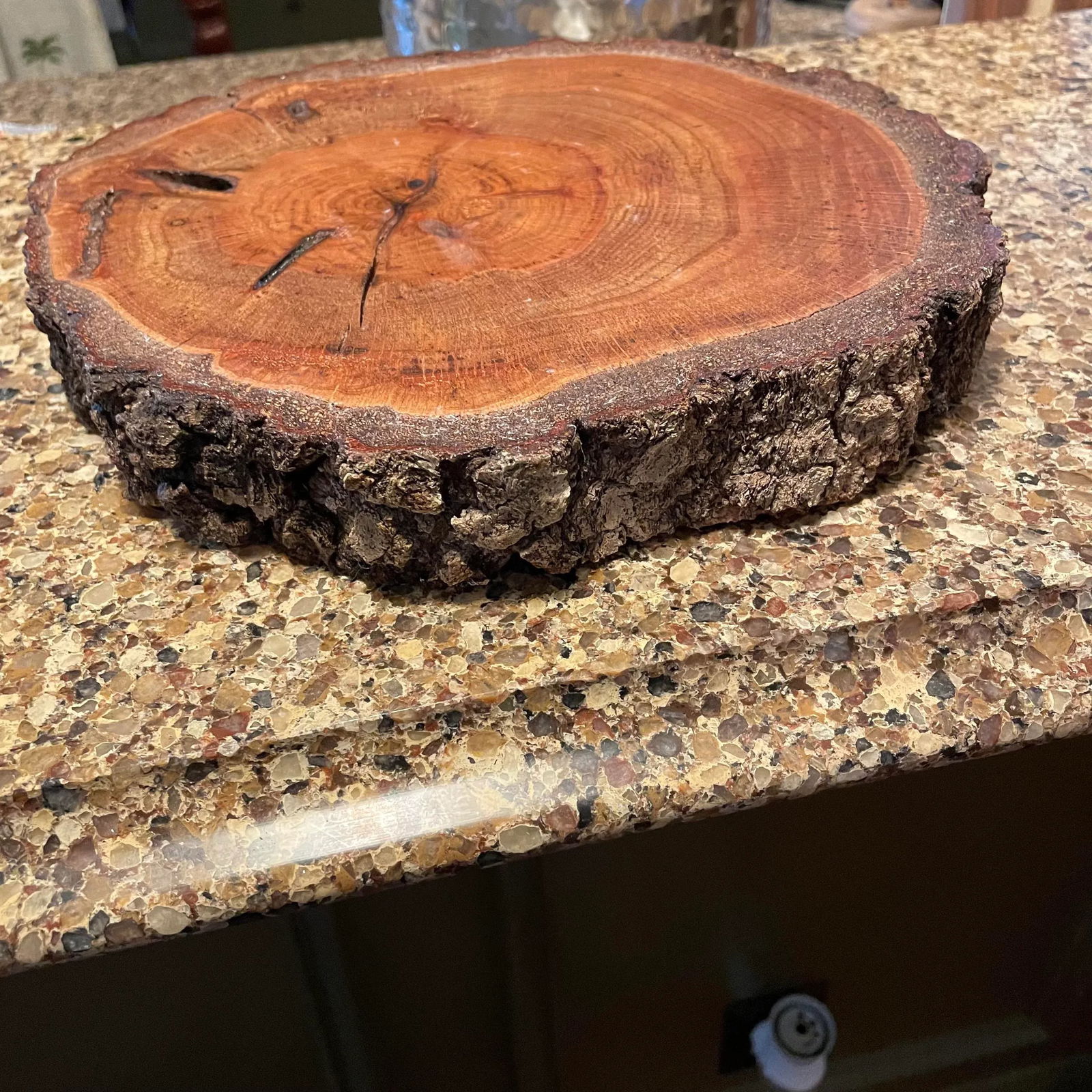 Natural Live Edge Wood Platter - 3