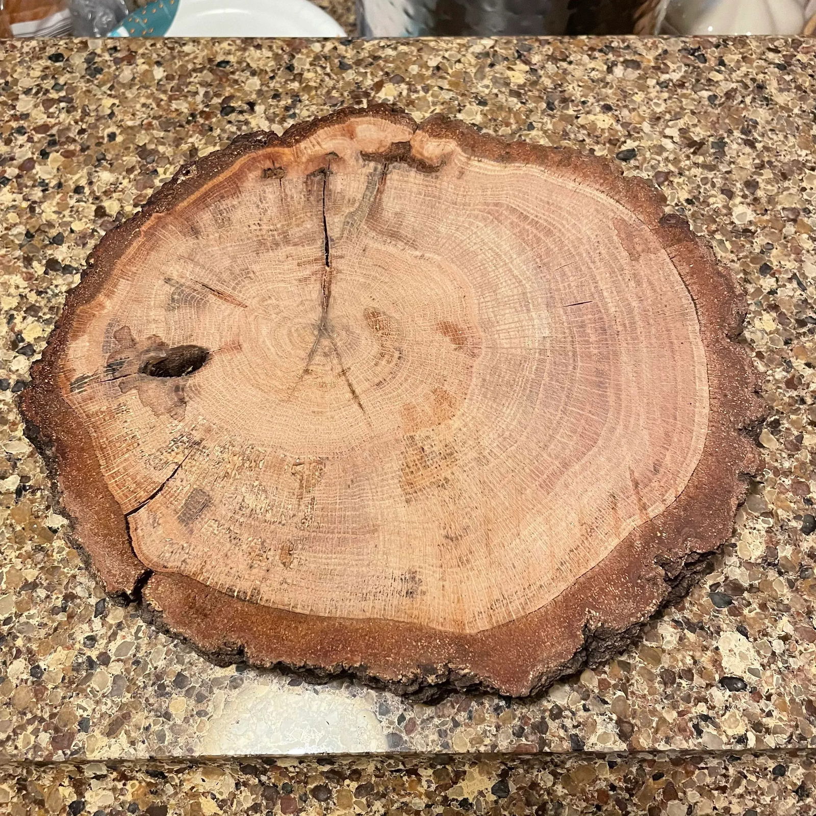 Natural Live Edge Wood Platter - 5