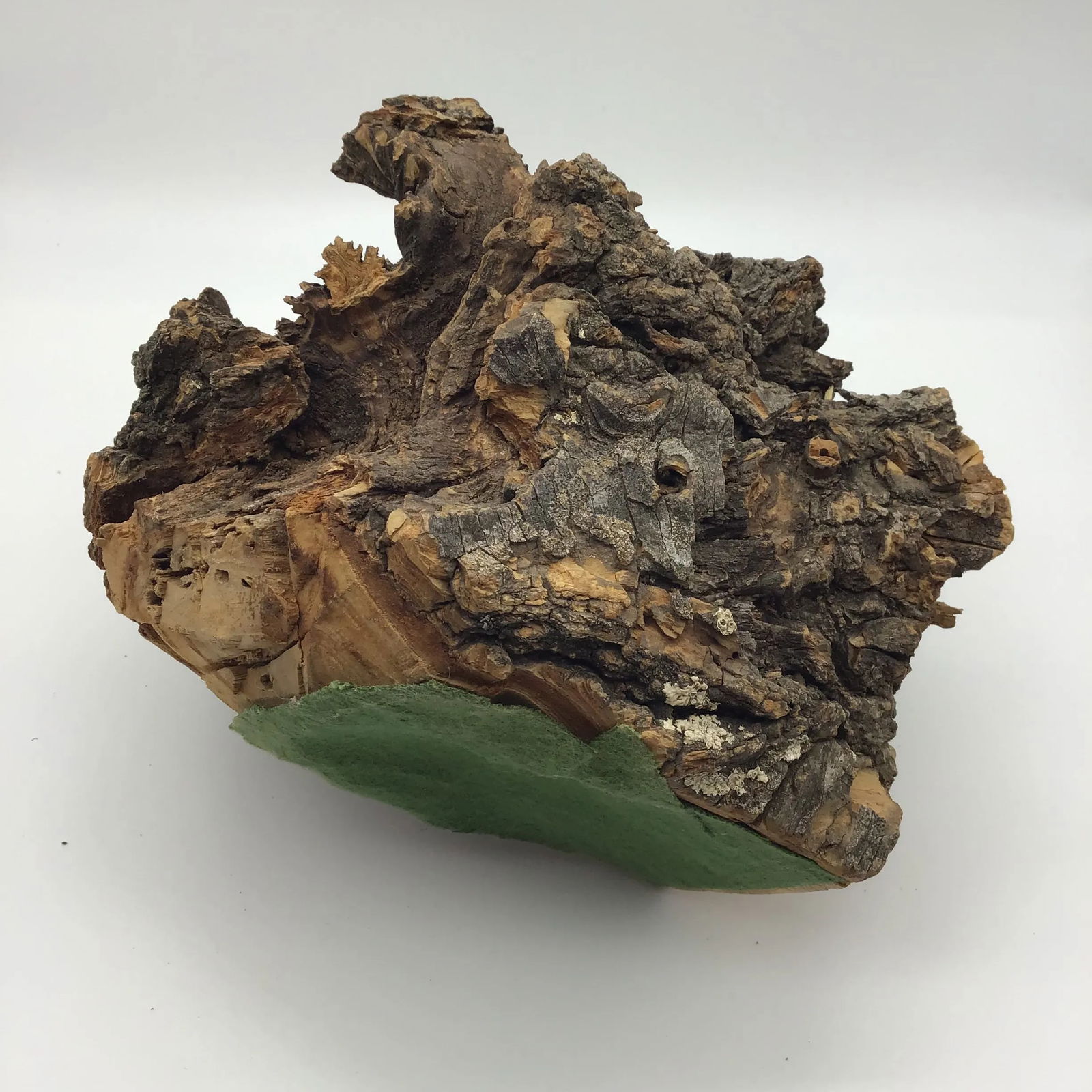 Burl Wood Sculpture Natural Wood Tree Burl Sculpture Decorative Art Object - 6