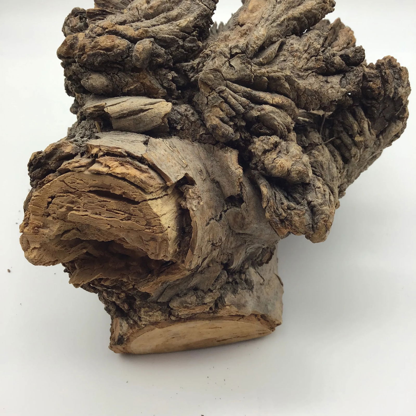 Burl Wood Sculpture Natural Wood Tree Burl Sculpture Decorative Art Object - 8