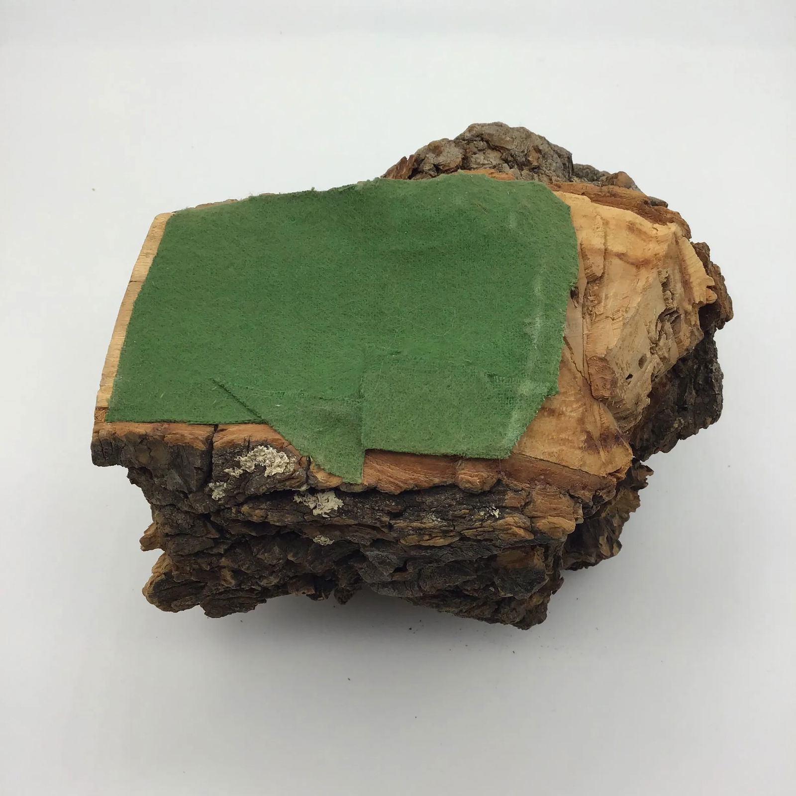 Burl Wood Sculpture Natural Wood Tree Burl Sculpture Decorative Art Object - 9