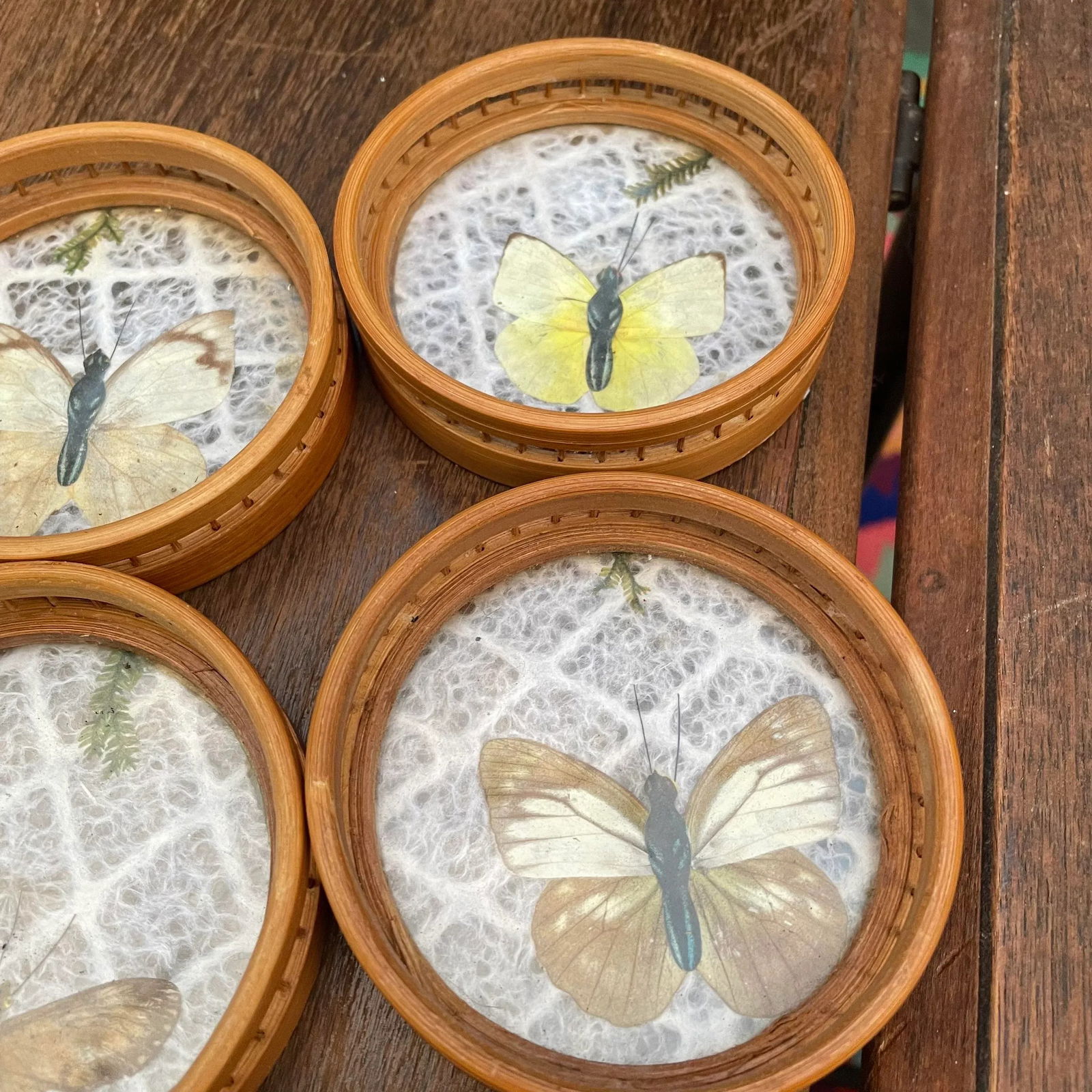 Vintage Rattan and Faux Butterfly Coasters- Set of 6 - 2
