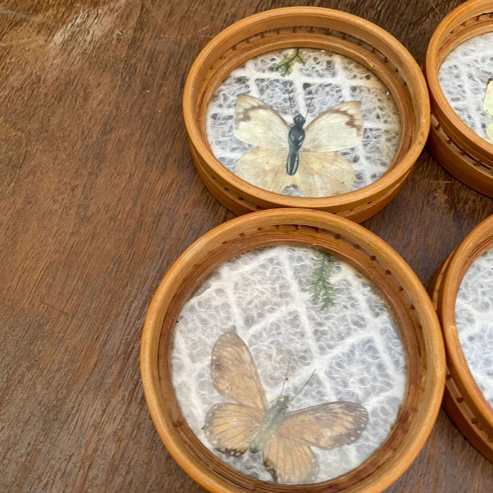 Vintage Rattan and Faux Butterfly Coasters- Set of 6 - 4