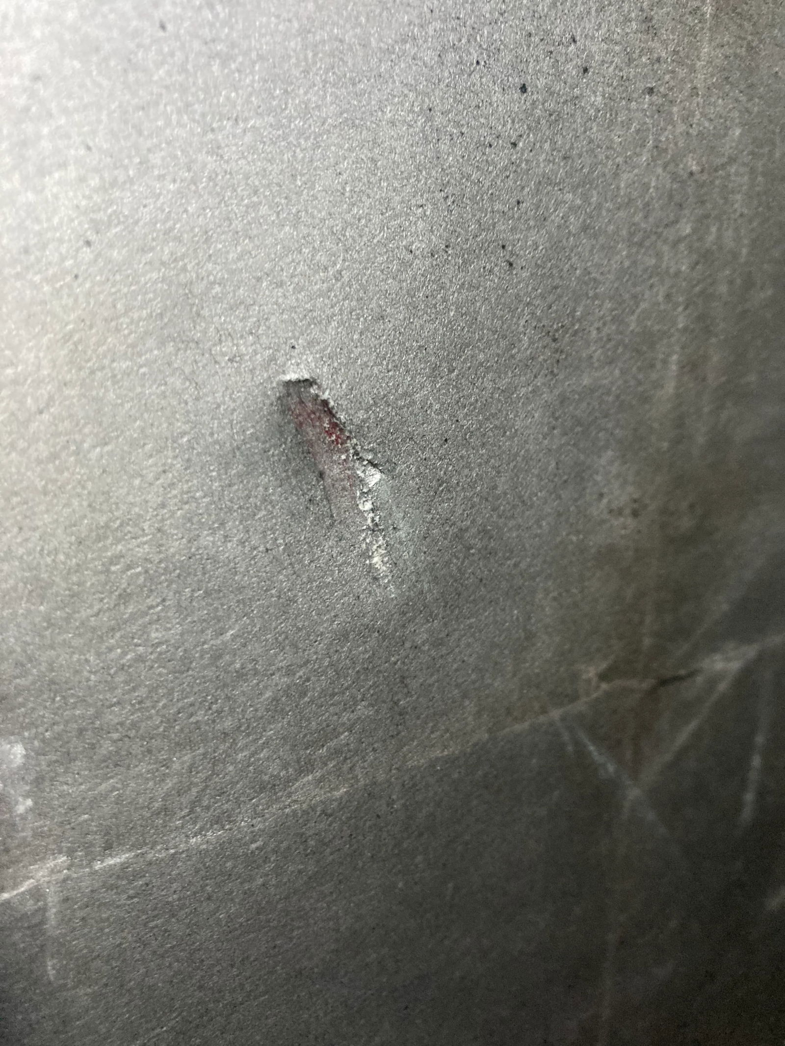 Japanese Meiji Era 18th Century Four Panel ByÅbu With Male and Female Pheasants, Mountains, - 11