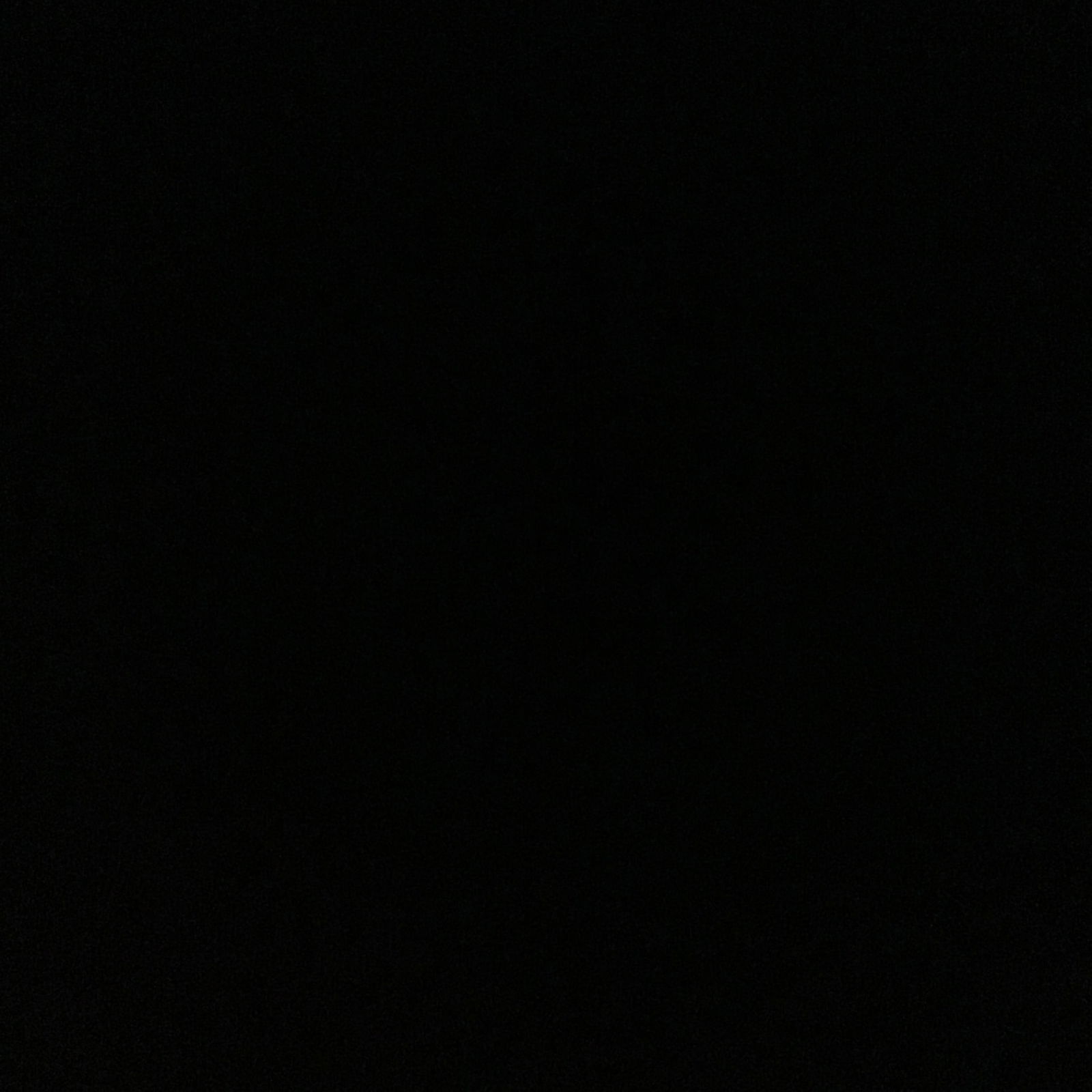 Flamingo Glass Bowl Vintage 1990's Etched Raised Embossed Clear Glass Serving Bowl - 7