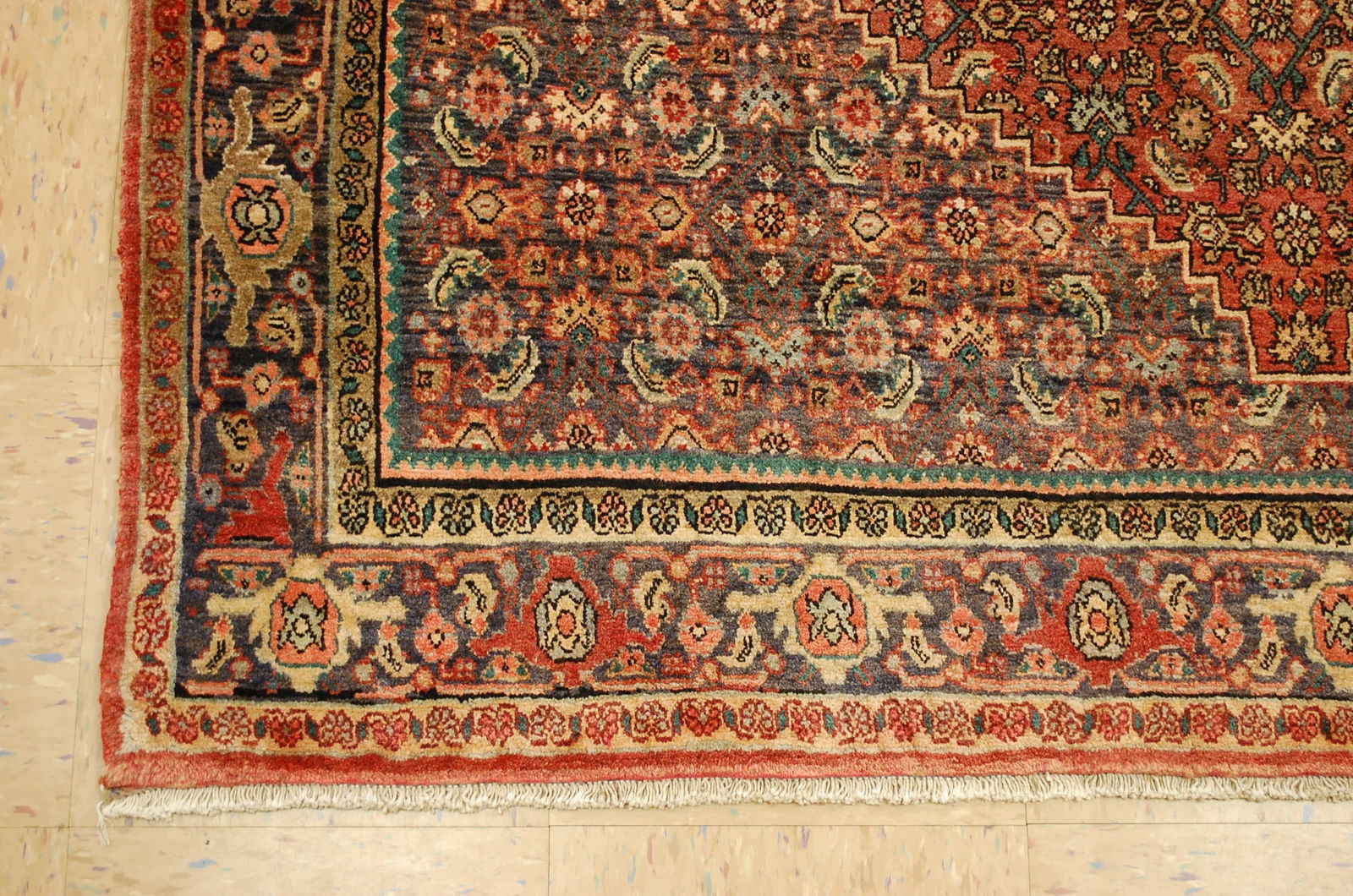 PERSIAN BIJAR RUG 5.1x7 - 4
