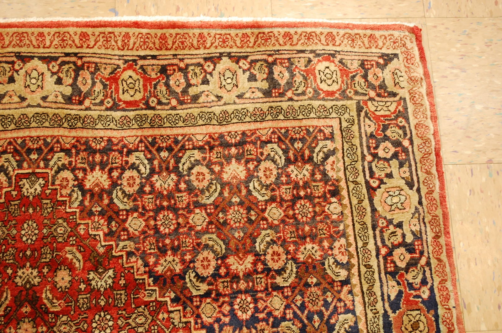 PERSIAN BIJAR RUG 5.1x7 - 6