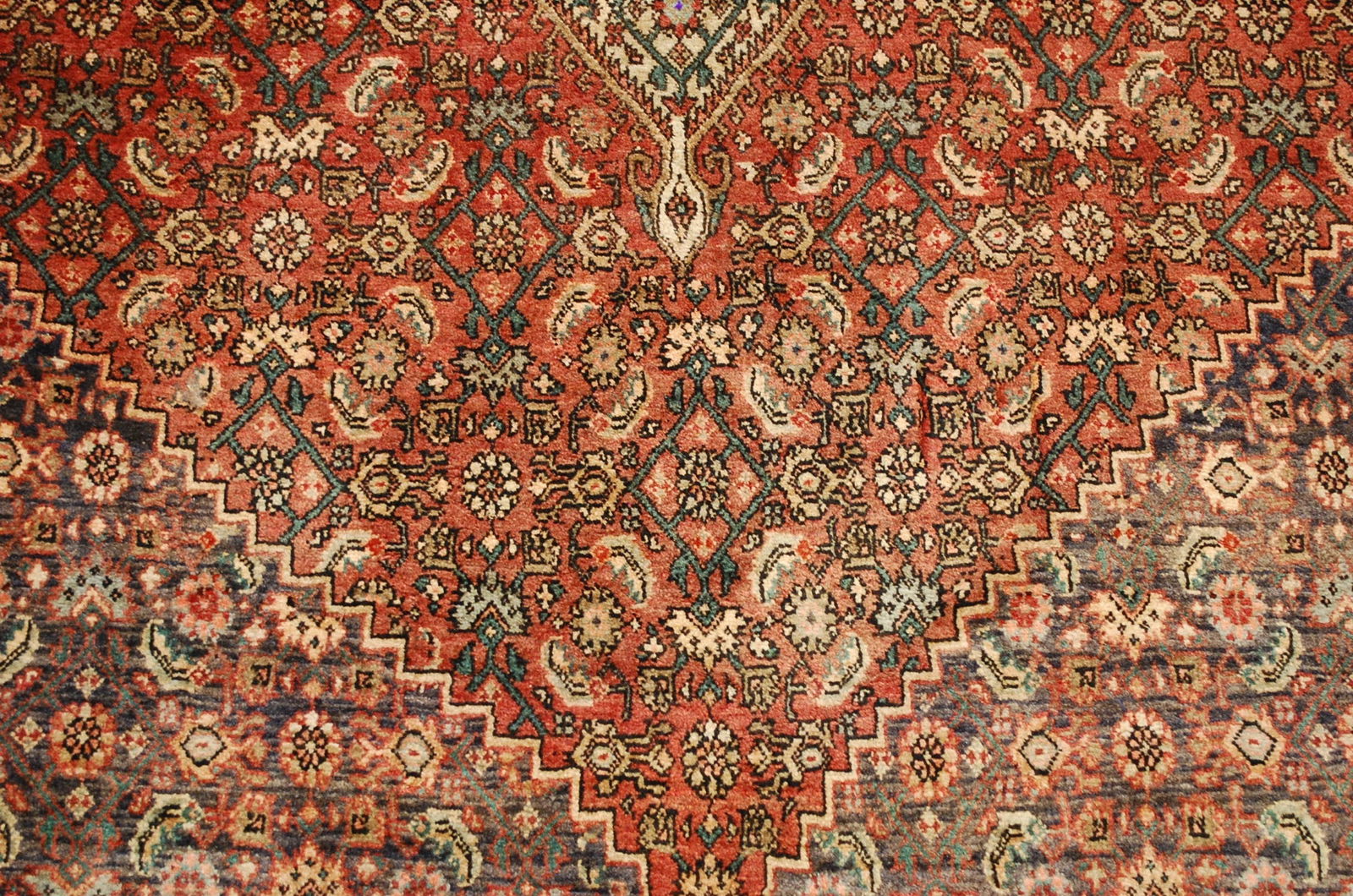 PERSIAN BIJAR RUG 5.1x7 - 8