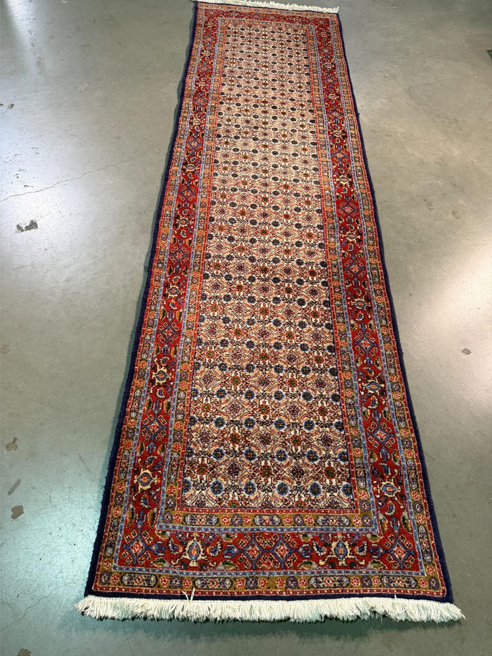 Magnificent Persian Runner 2.8x9.8 - 2