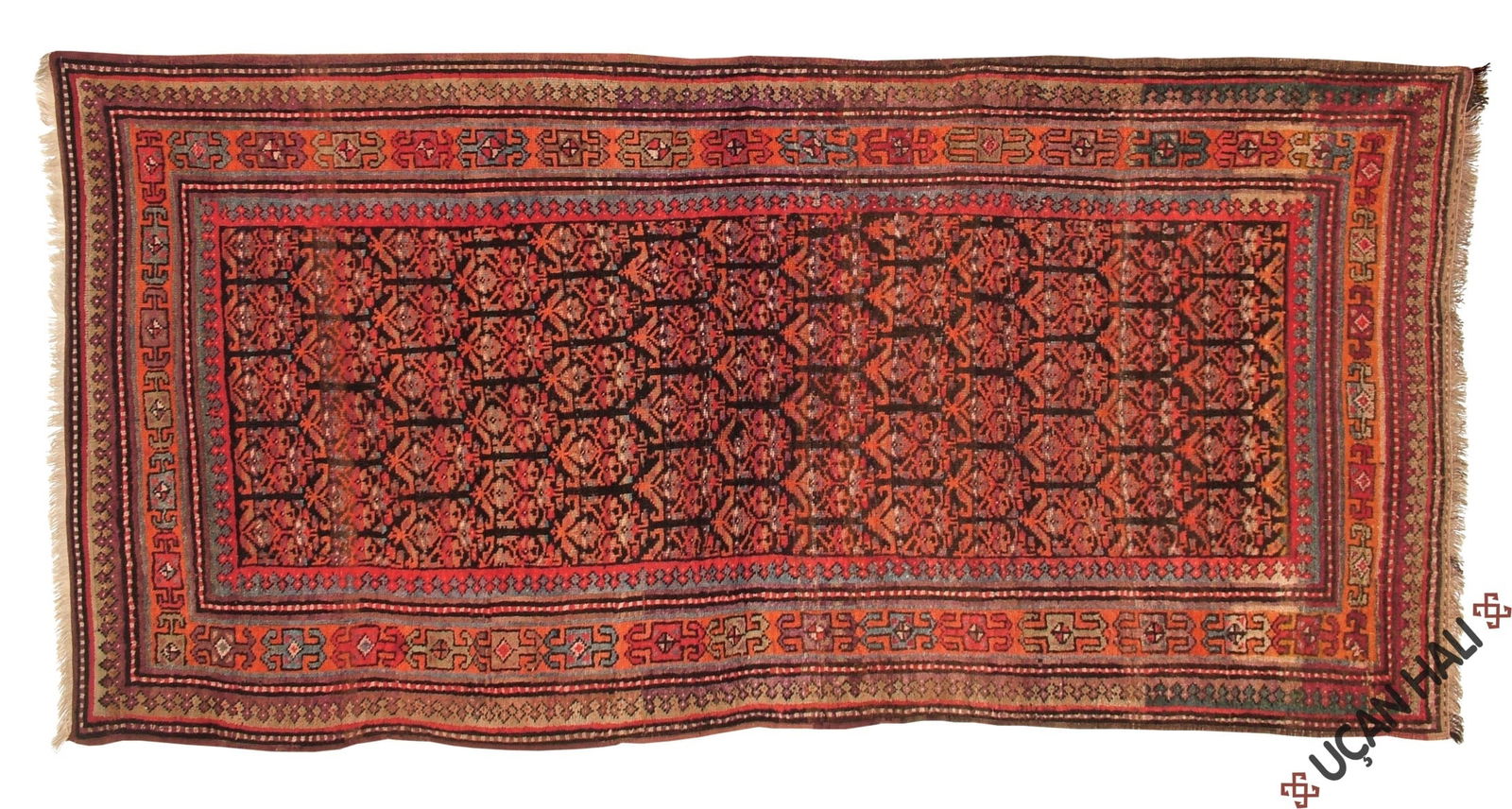 11045 CAUCASIAN KARABAGH CARPET: 2.67 × 1.32 m (3.52 m²) (1 of 6)