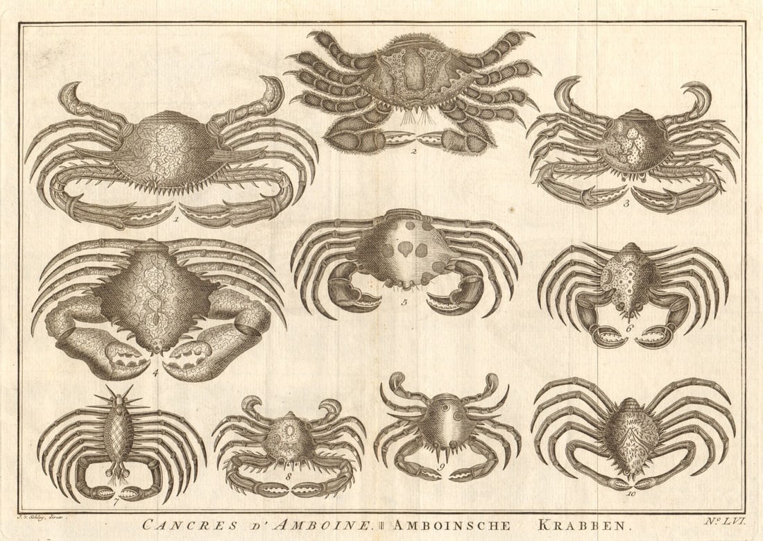 LVI - Cancres ou Crabbes. Indonesia. Crabs. Maluku Moluccas. SCHLEY 1763 print: Title: LVI - Cancres ou Crabbes. Indonesia. Crabs. Maluku Moluccas. SCHLEY 1763 print Description: LVI - Cancres ou Crabbes [Crabs] by Schley, Jakob van der. Published 1763. Antique copperplate