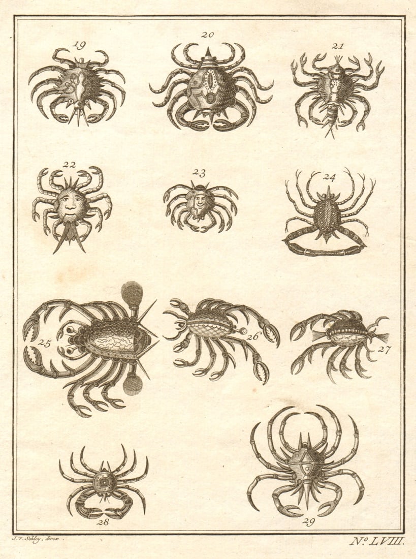 LVIII - Cancres ou Crabbes. Indonesia. Crabs. Maluku Moluccas. SCHLEY 1763: Title: LVIII - Cancres ou Crabbes. Indonesia. Crabs. Maluku Moluccas. SCHLEY 1763 Description: LVIII - Cancres ou Crabbes [Crabs] by Schley, Jakob van der. Published 1763. Antique copperplate print.