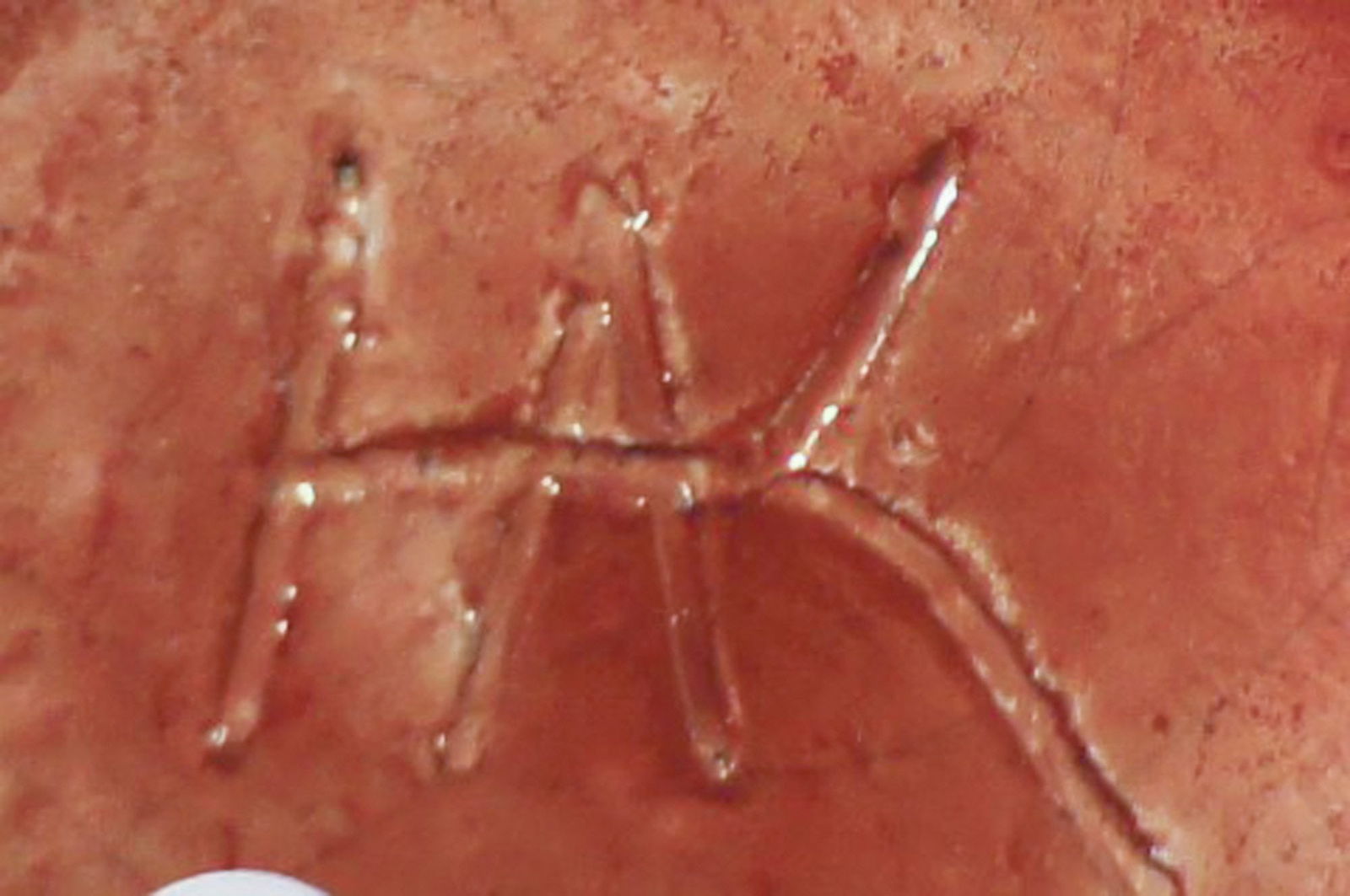 Kähler, luster glaze pottery vase, probably by Karl Hansen Reistrup. - 5