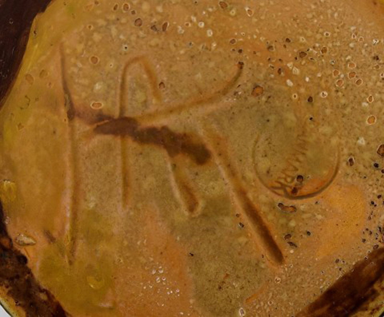 Kähler, HAK, glazed stoneware vase in modern design. 1930 / 40's. Cow horn technique. Blue - 6