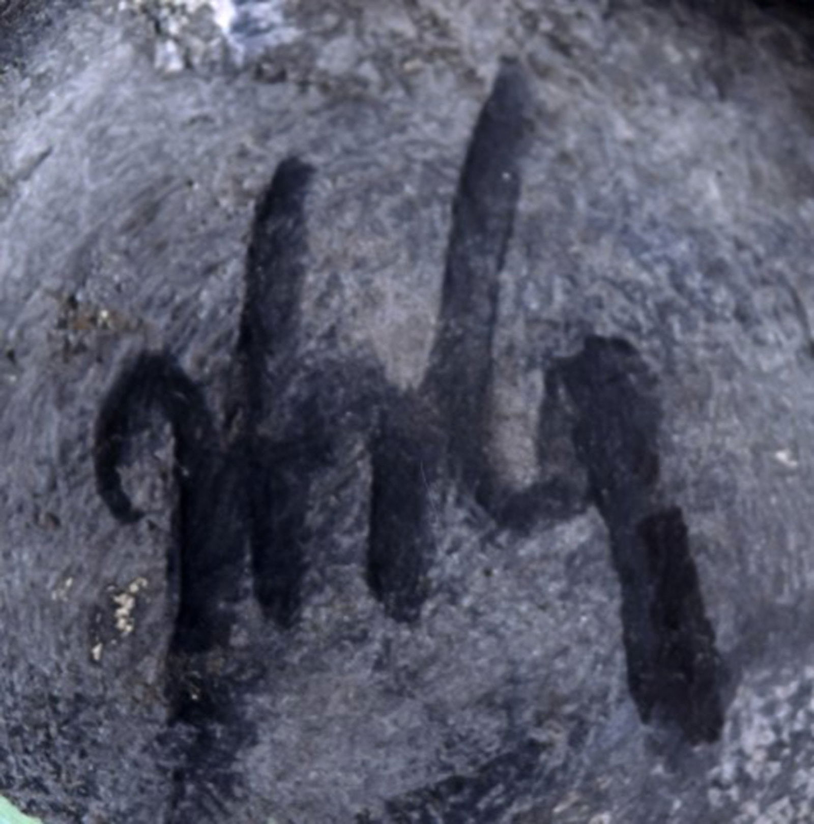 Hans Hedberg (1917-2007) Swedish ceramist. Unique ceramic vase. - 8