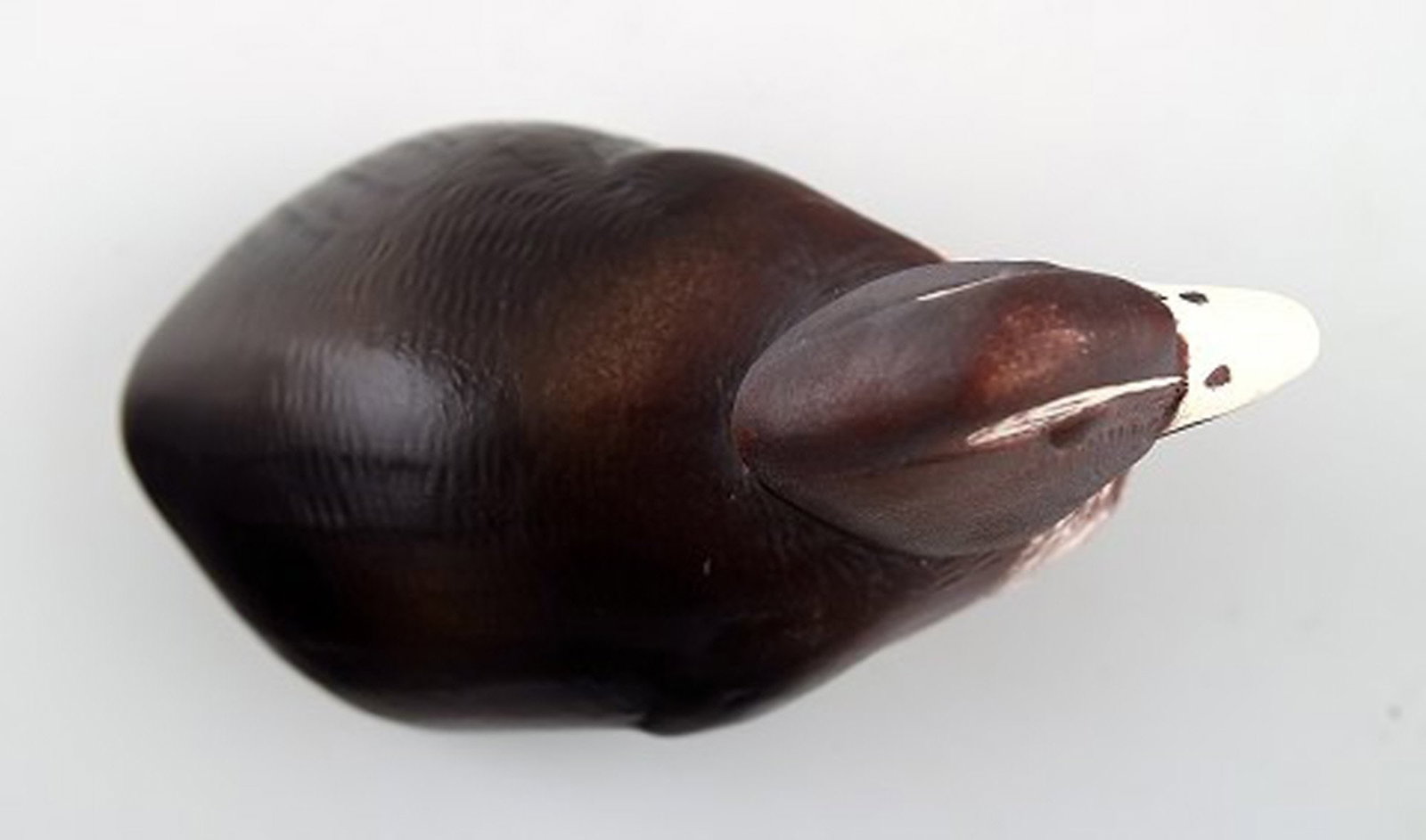 Paul Hoff for Gustavsberg, eider duck in stoneware. - 4