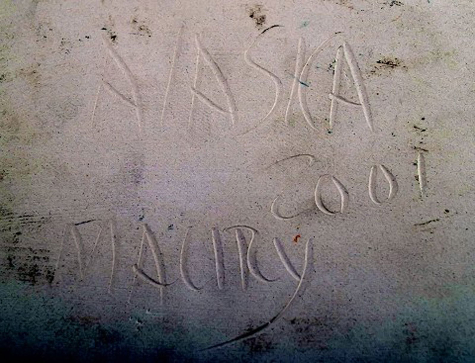 Kate Maury unique ceramic dish decorated with fish. - 7