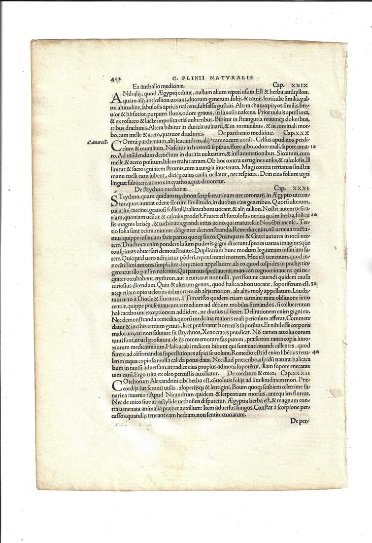 1525 Leaf Pliny Natural History Froben Printing - 2