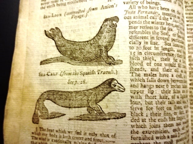 1750 Gentleman's Magazine Canada Nova Scotia - 2