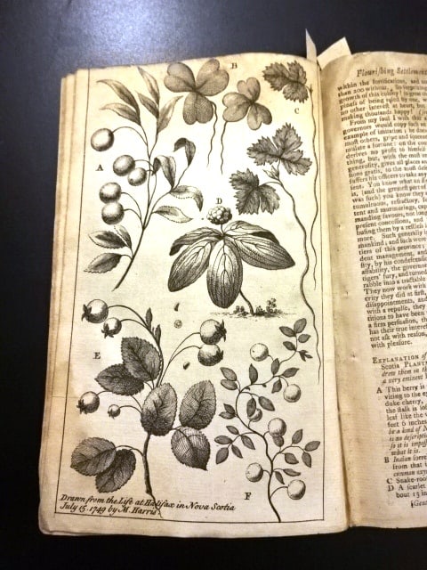 1750 Gentleman's Magazine Canada Nova Scotia - 3