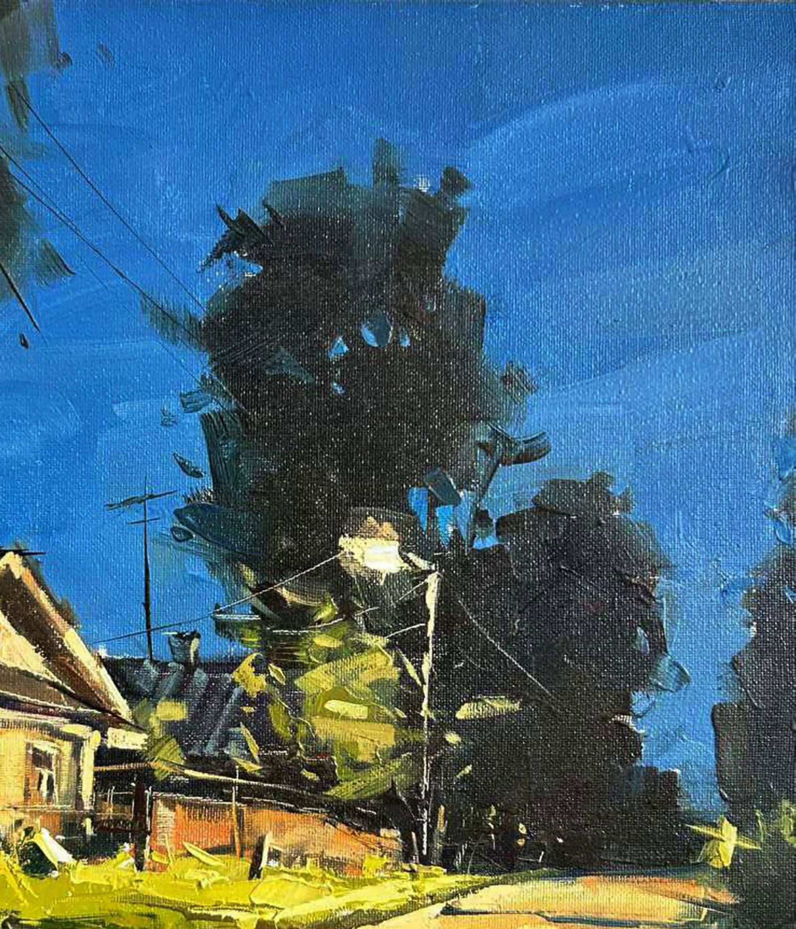 Oil painting Night streets of the village Igor Lysytsya - 5