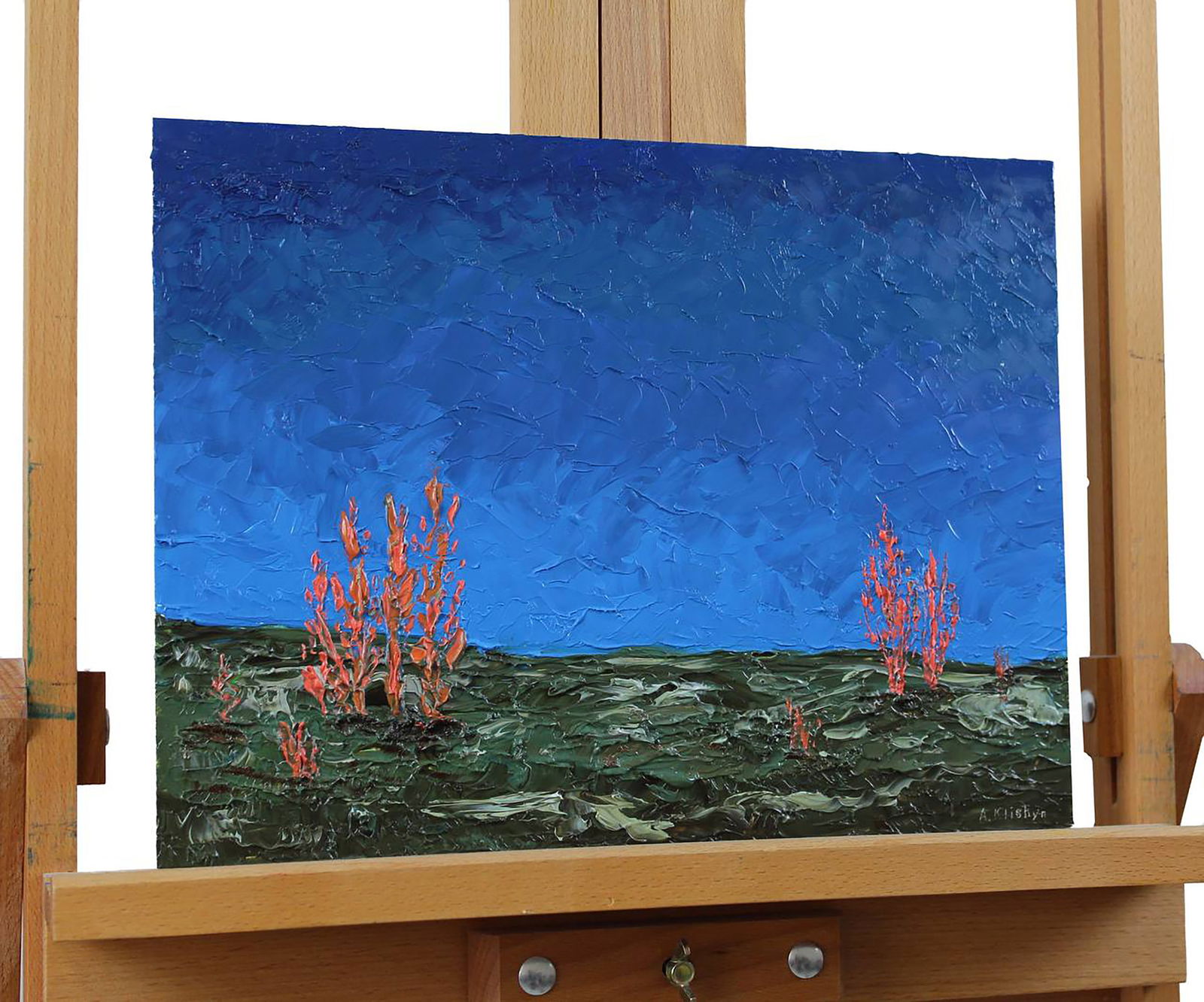 Oil painting Landscape of orange algae Andriy Klishyn - 6