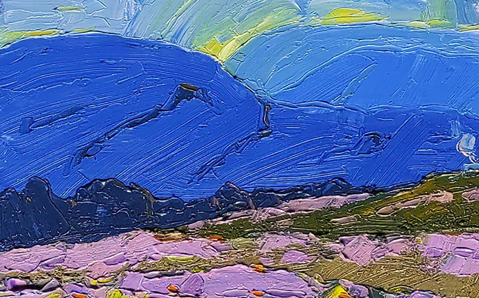 Oil painting Spring on a mountain meadow Yaroslav Savchyn - 2